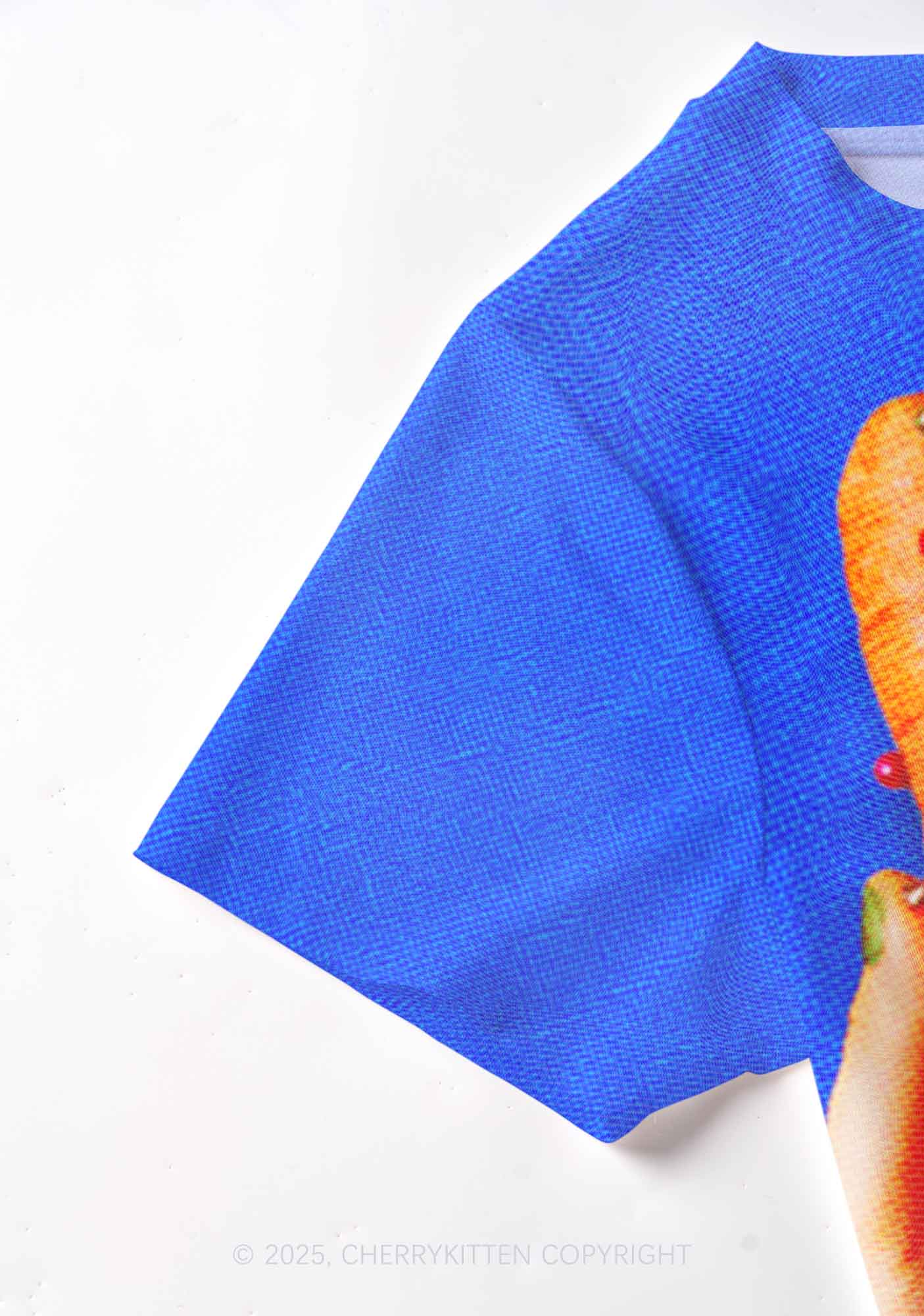 Carrots and Grapefruit Pride Y2K Mesh Crop Top Cherrykitten - Image 4