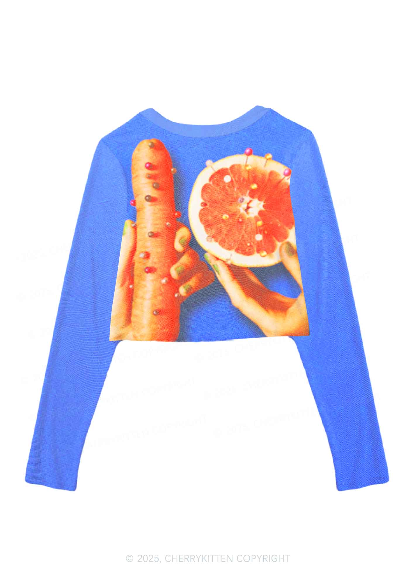 Carrots and Grapefruit Pride Y2K Mesh Long Sleeve Crop Top Cherrykitten - Image 3