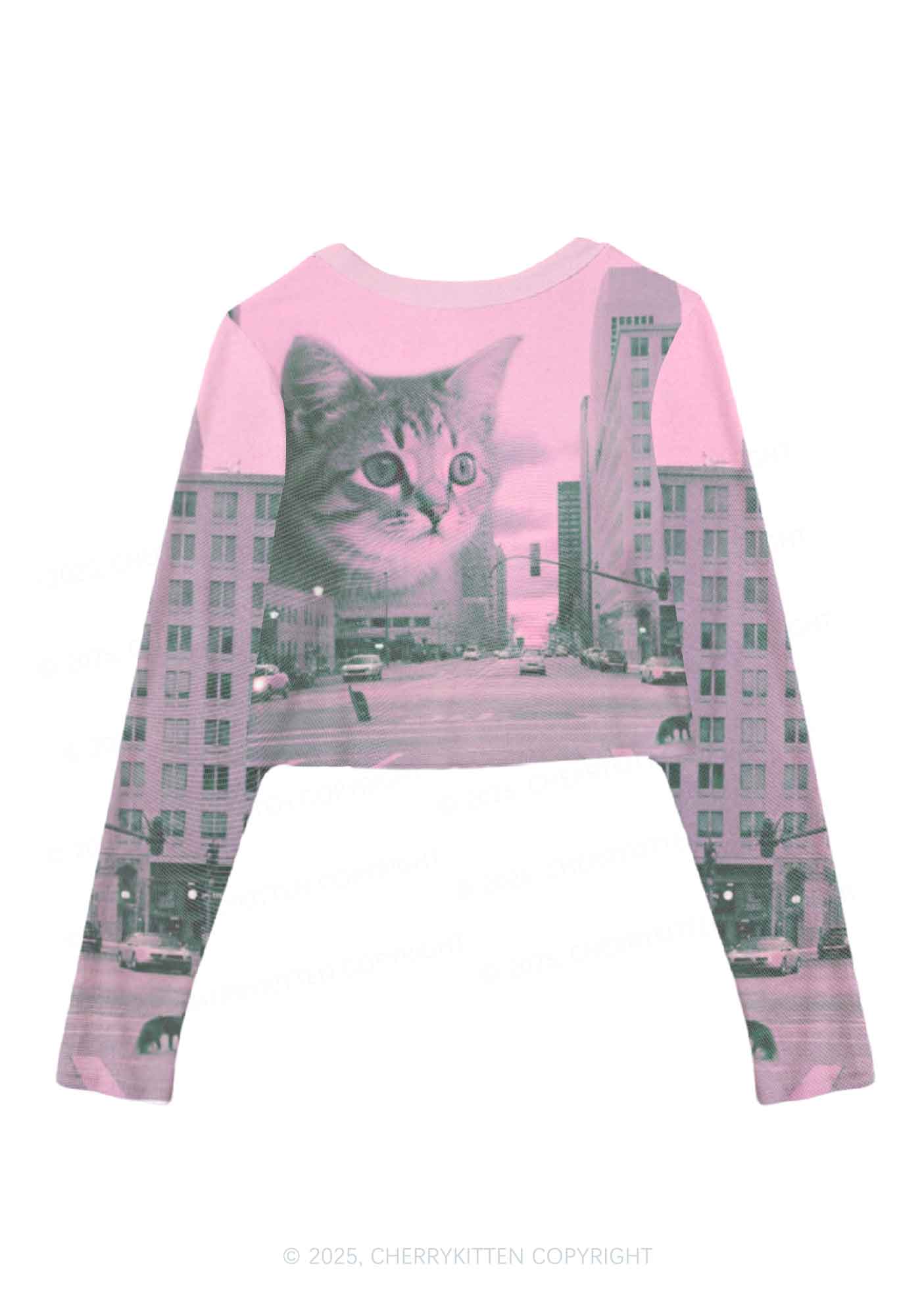Cat Road Y2K Mesh Long Sleeve Crop Top Cherrykitten - Image 2