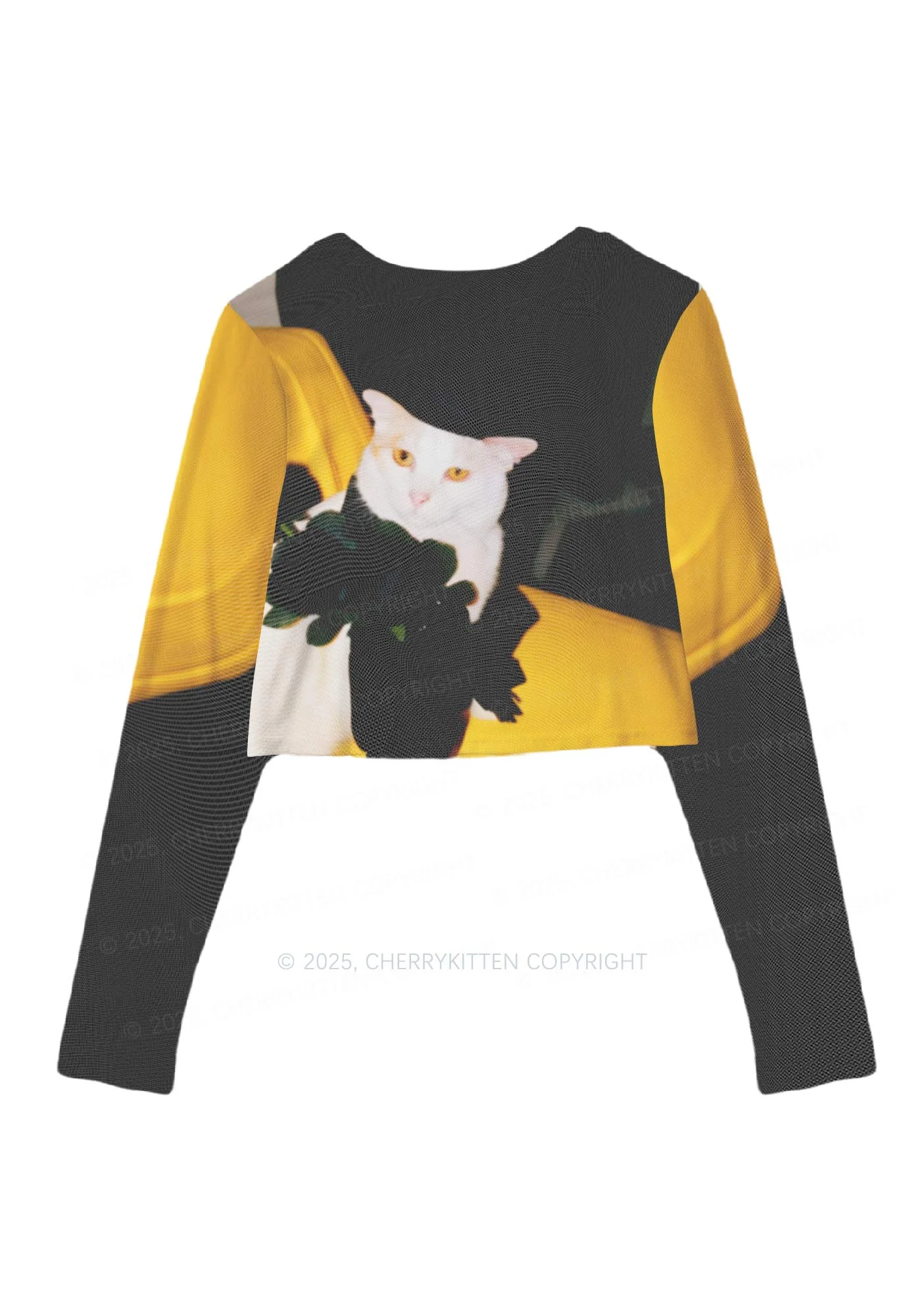 Cat With Black Roses Y2K Mesh Long Sleeve Crop Top Cherrykitten - Image 3