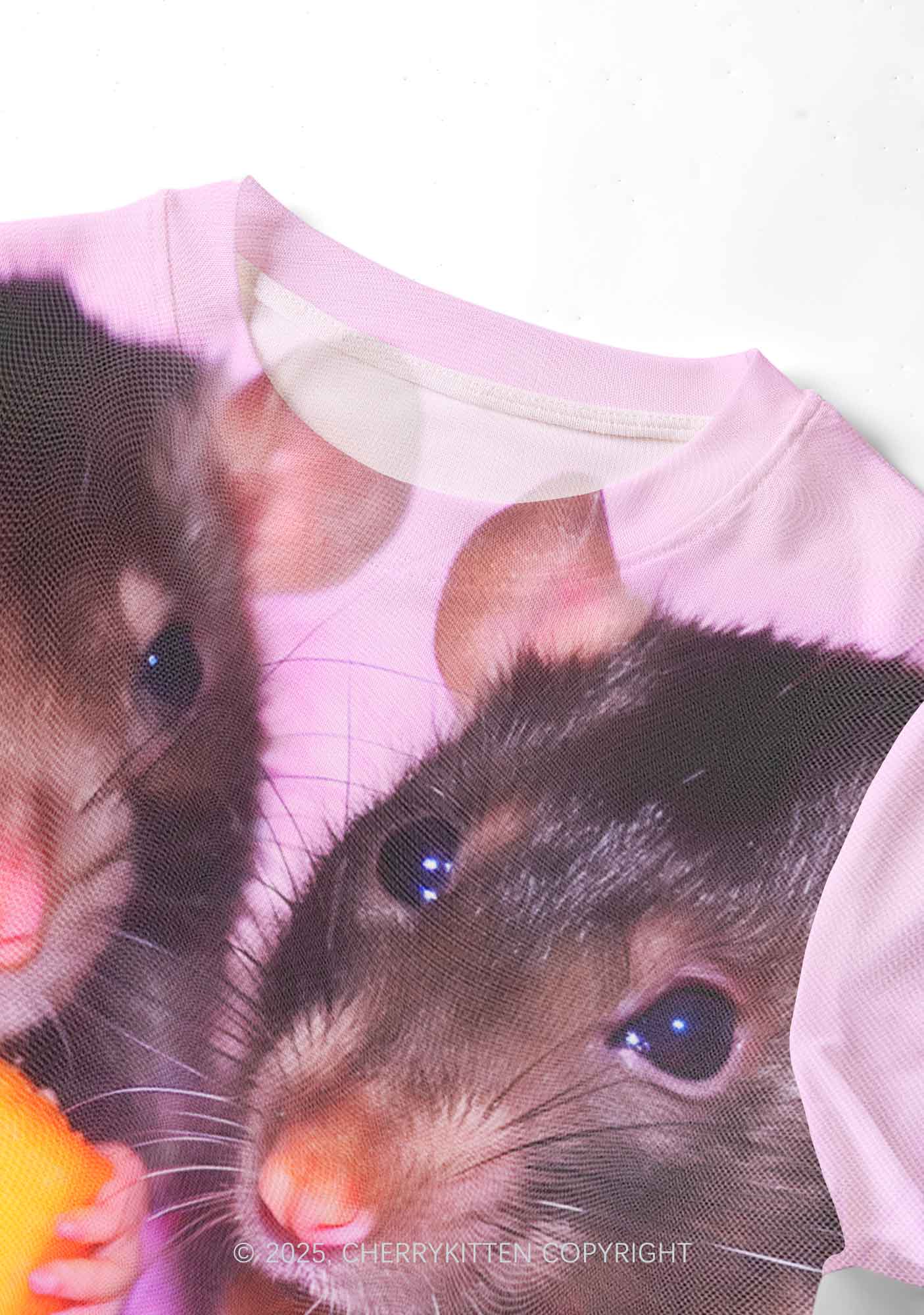 Cheese Rat Y2K Mesh Crop Top Cherrykitten - Image 2