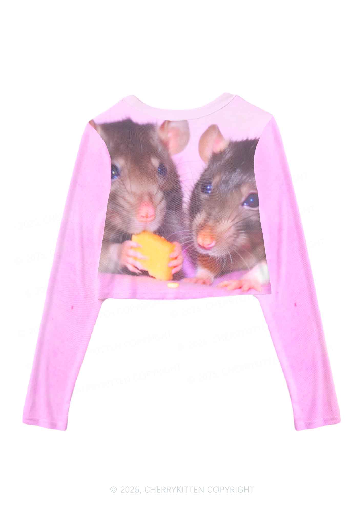 Cheese Rat Y2K Mesh Long Sleeve Crop Top Cherrykitten - Image 2