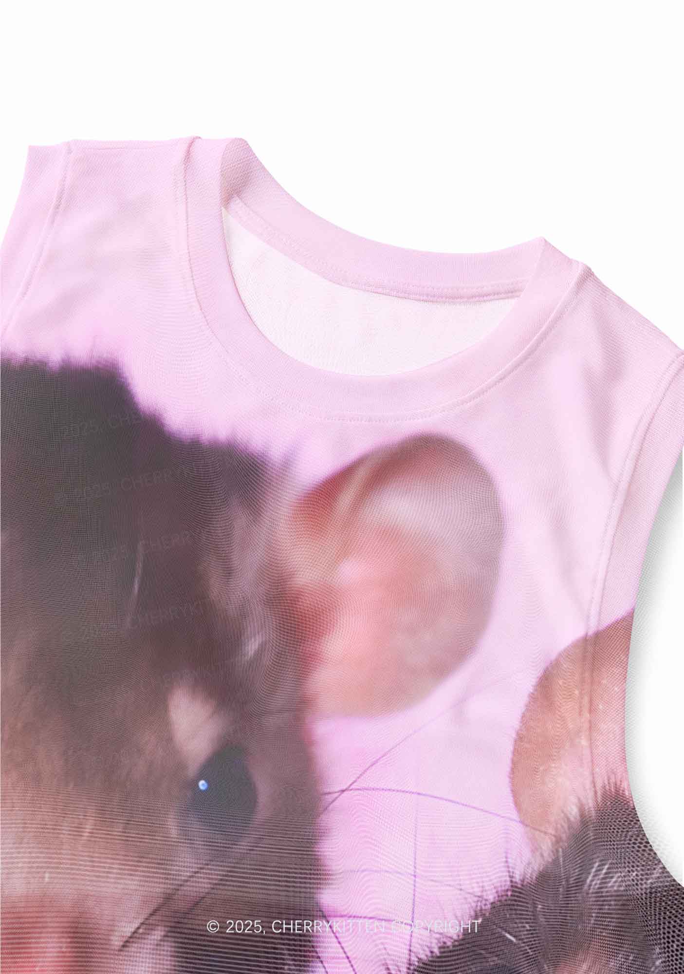 Cheese Rat Y2K Mesh Muscle Tank Cherrykitten - Image 2
