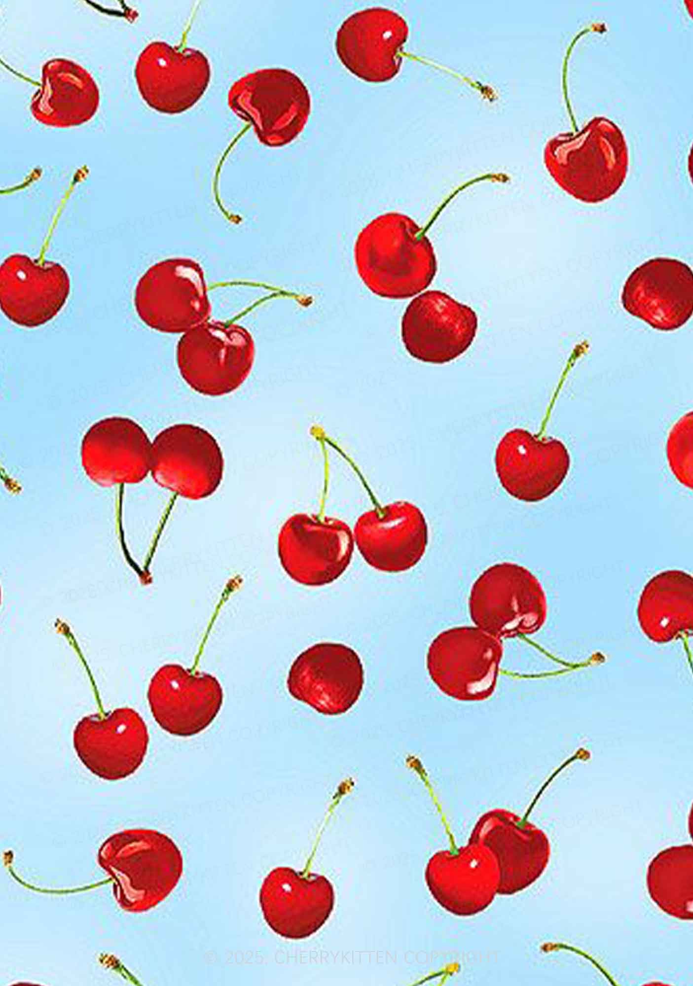 Cherry Sky Y2K Print Bikini Set Cherrykitten - Image 2