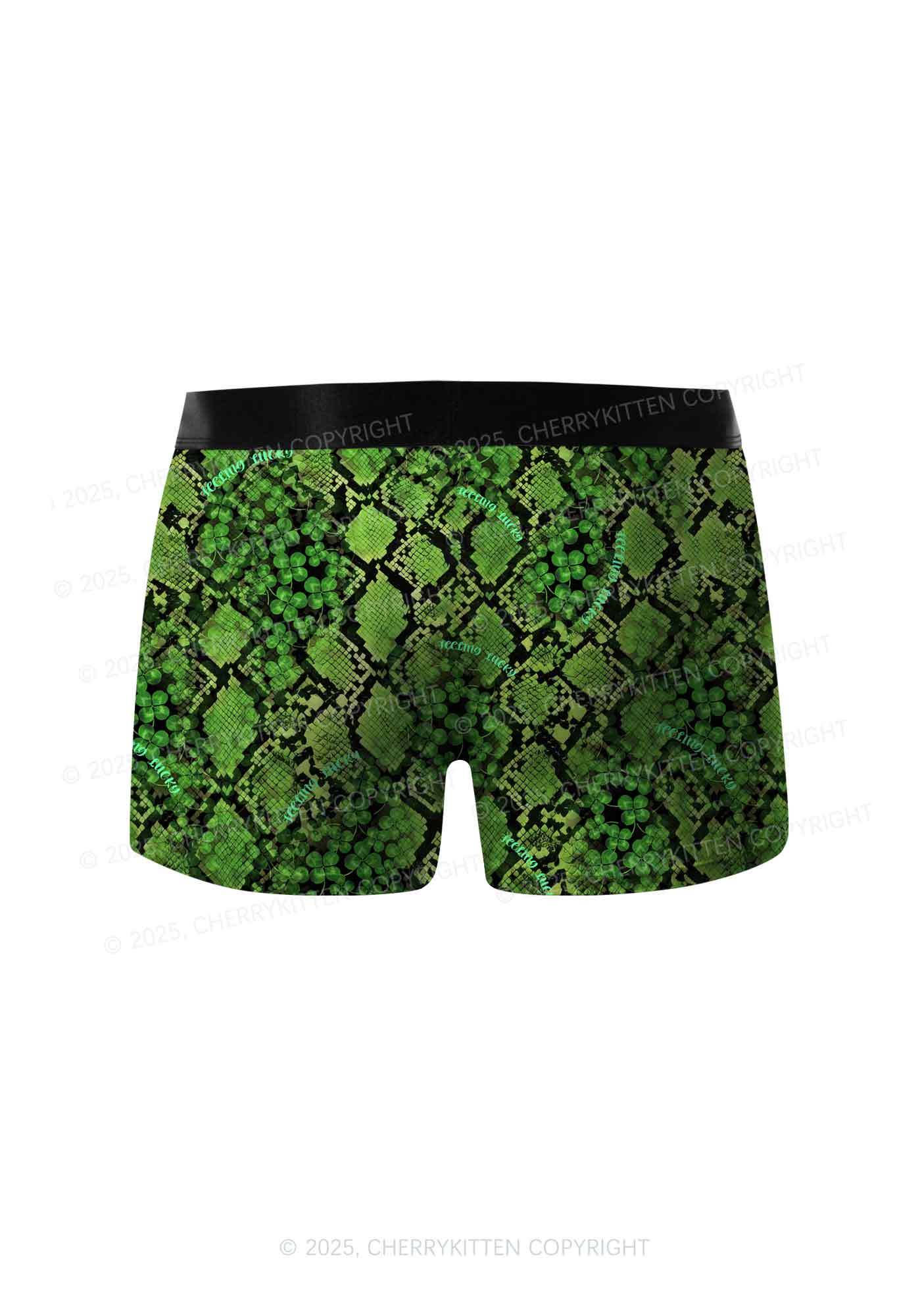 Clover Snake Pattern St Patricks Y2K Print Men Boxer Briefs Cherrykitten - Image 2