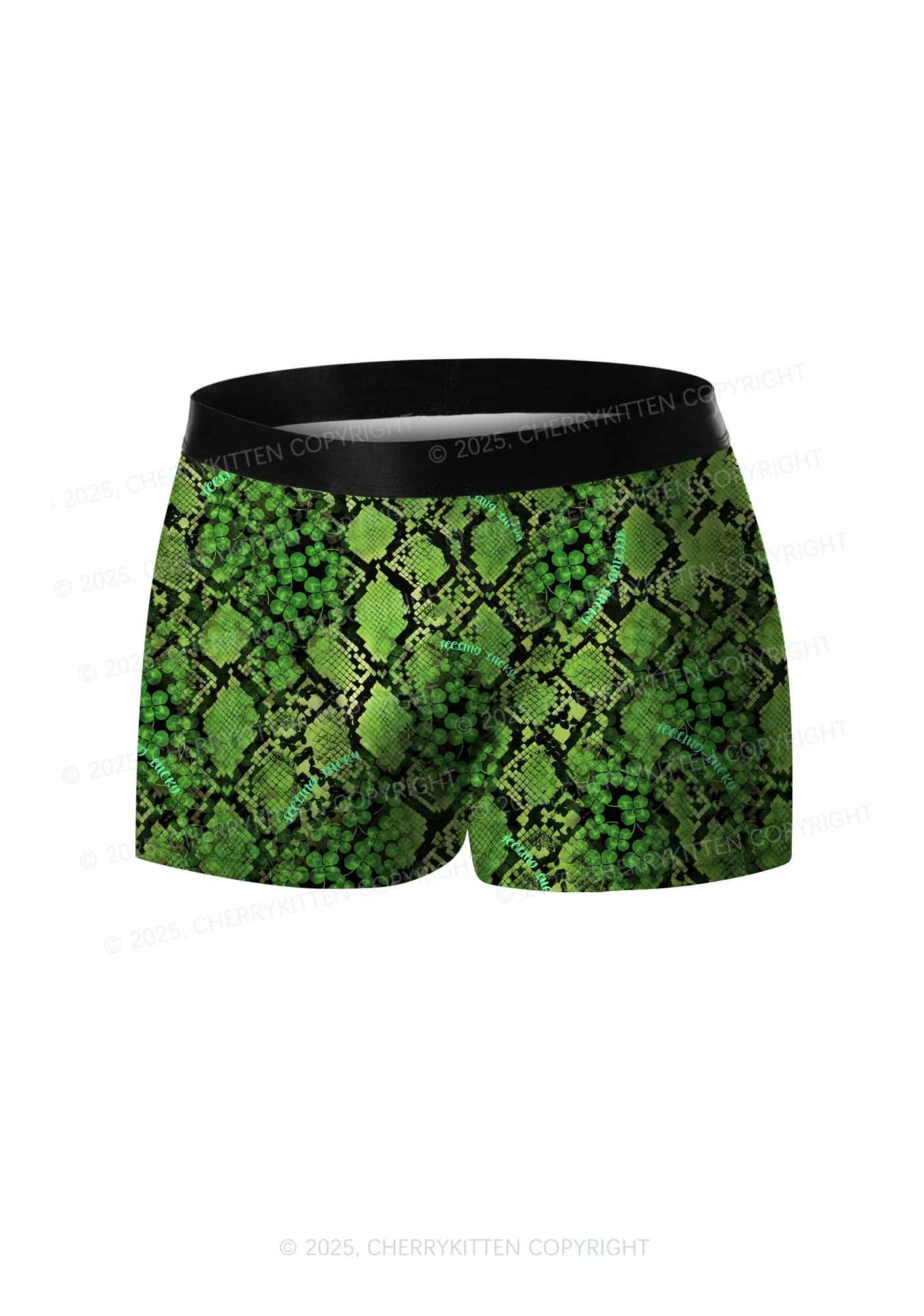 Clover Snake Pattern St Patricks Y2K Print Men Boxer Briefs Cherrykitten - Image 3