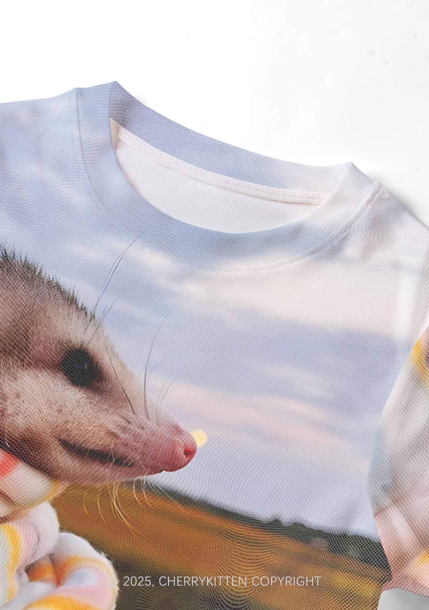 Cold Rat Y2K Mesh Crop Top Cherrykitten - Image 4