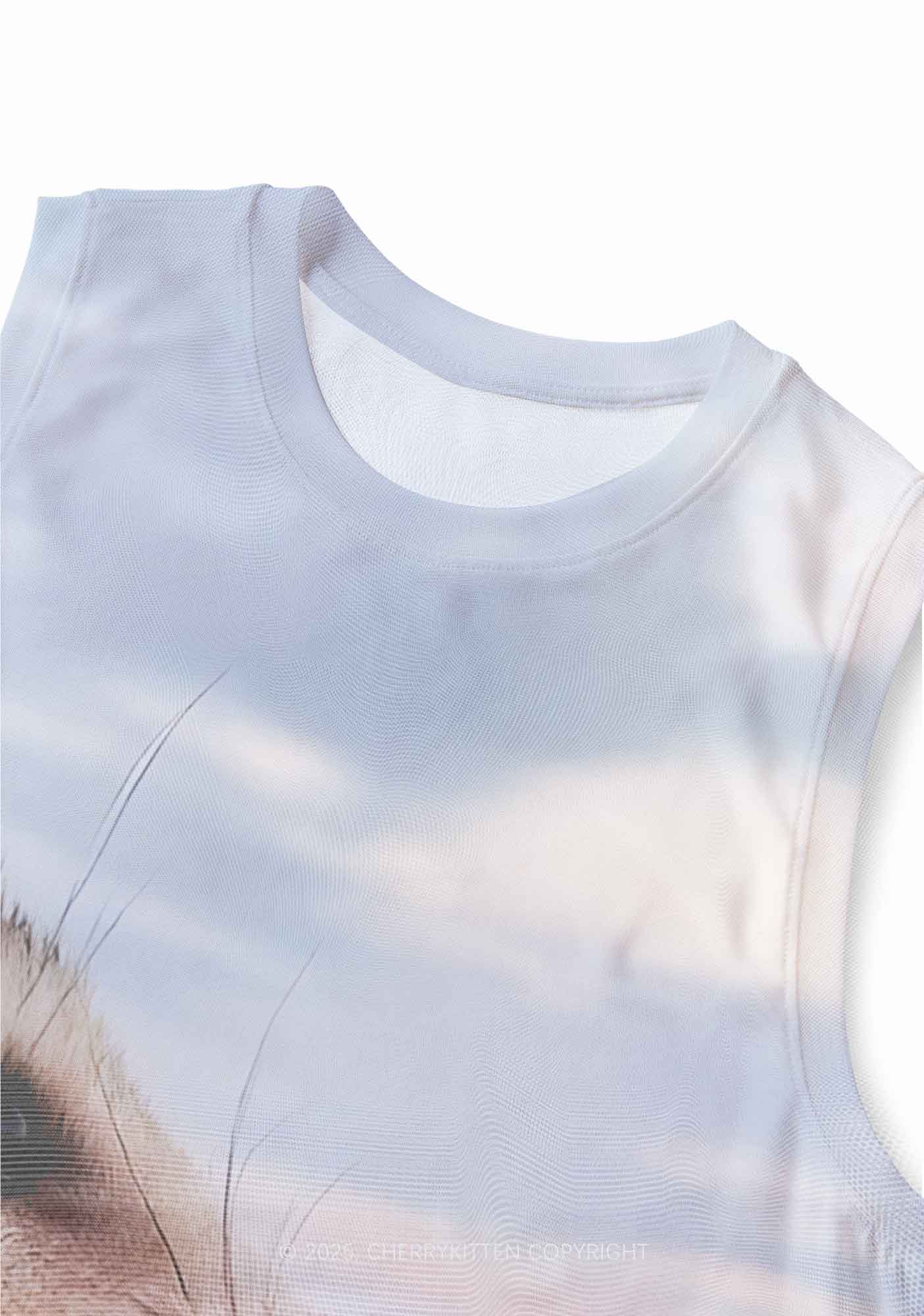 Cold Rat Y2K Mesh Muscle Tank Cherrykitten - Image 3