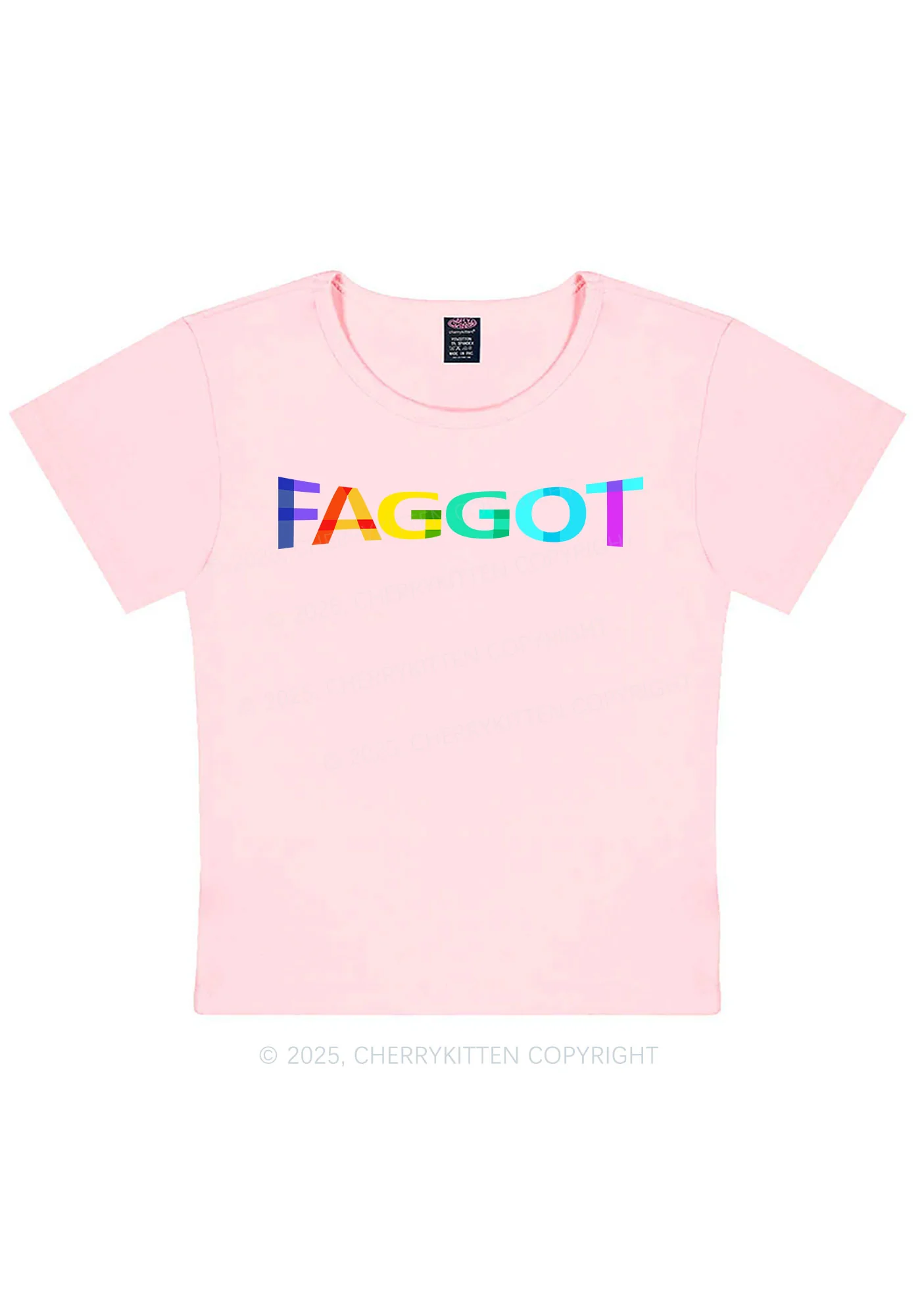 Colorful Faggot Pride Y2K Baby Tee Cherrykitten - Image 11