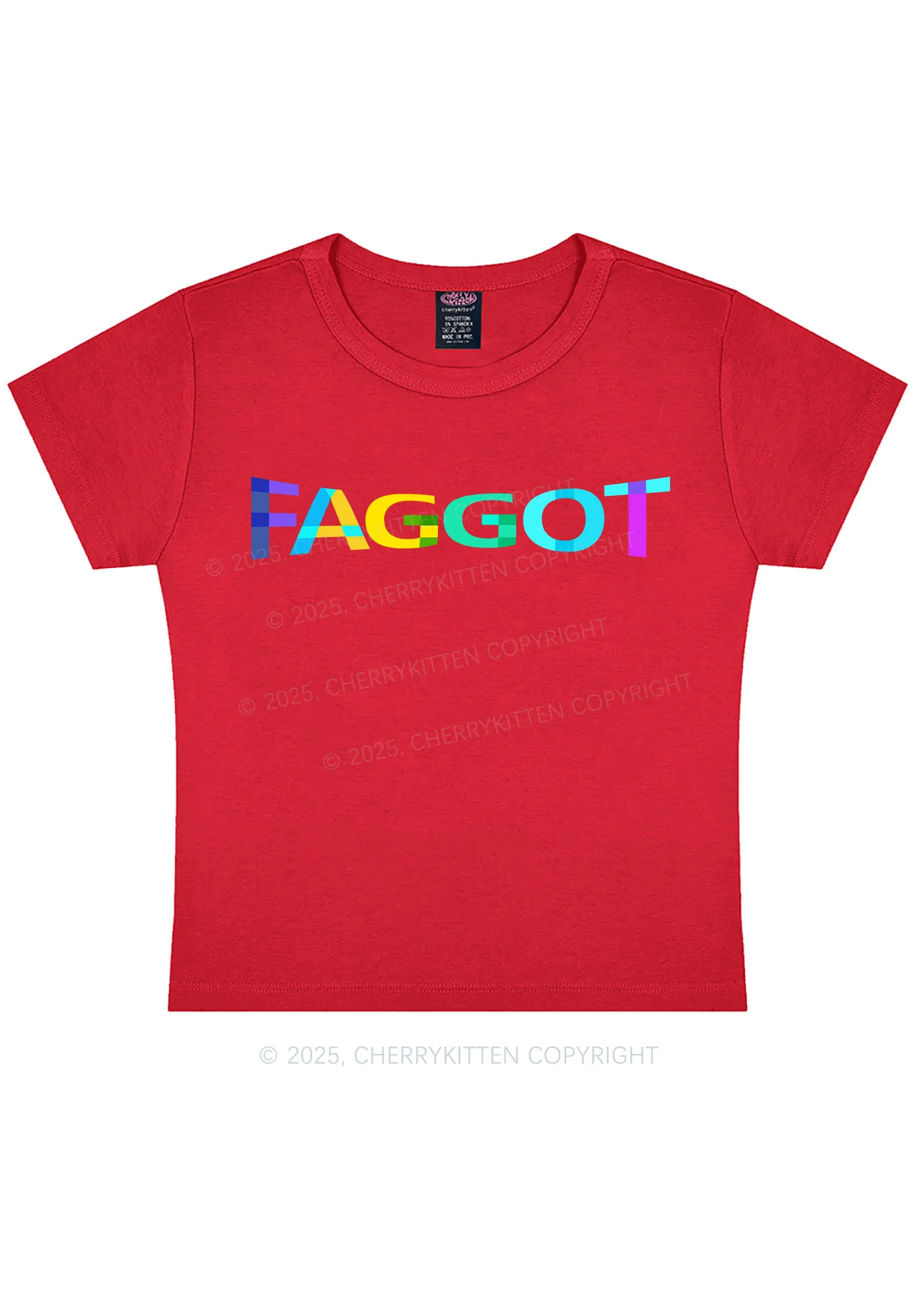 Colorful Faggot Pride Y2K Baby Tee Cherrykitten - Image 12