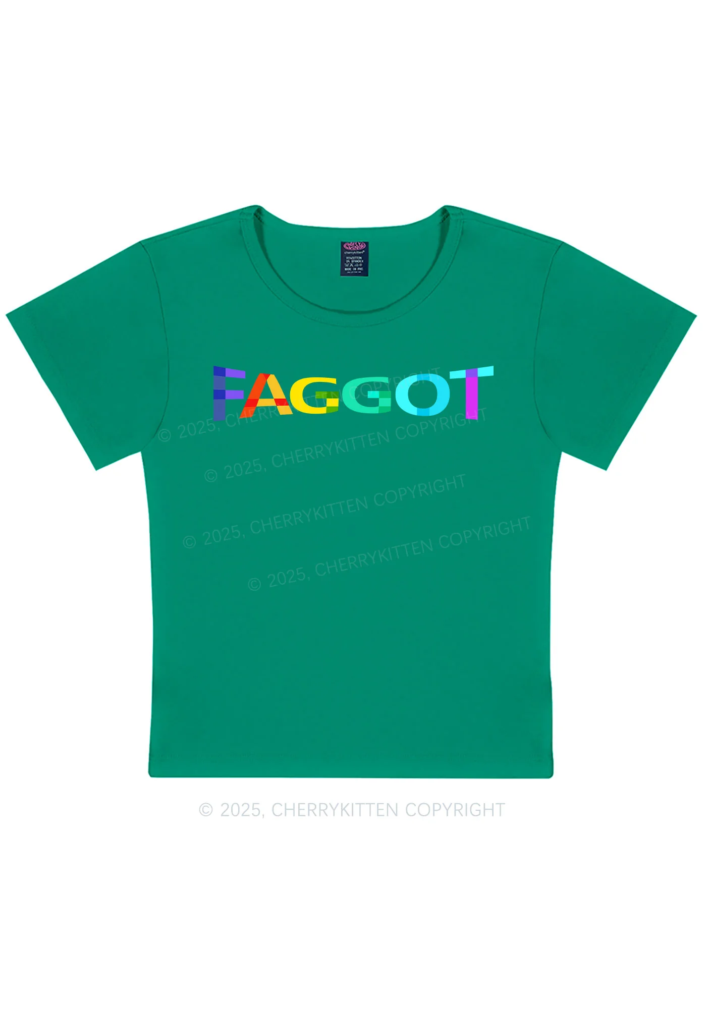 Colorful Faggot Pride Y2K Baby Tee Cherrykitten - Image 13