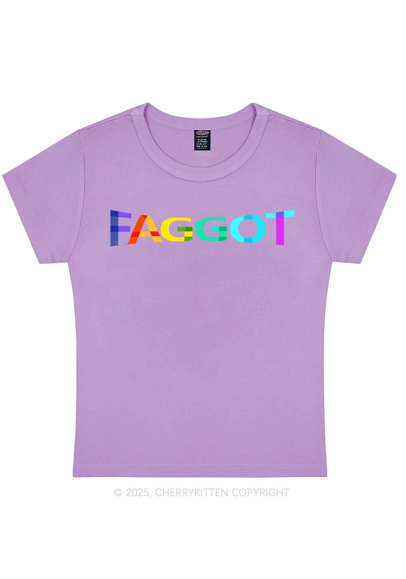 Colorful Faggot Pride Y2K Baby Tee Cherrykitten - Image 5