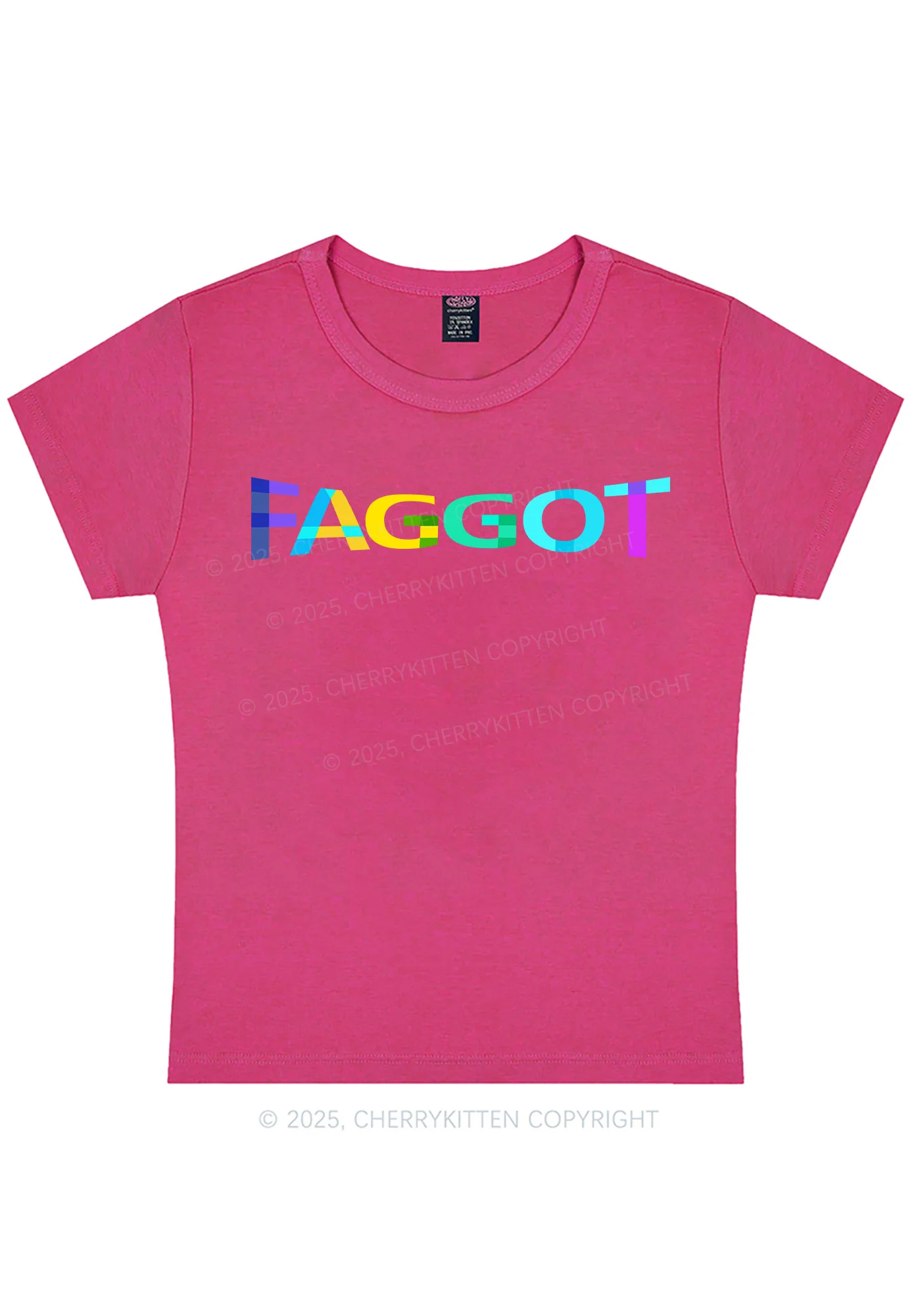 Colorful Faggot Pride Y2K Baby Tee Cherrykitten - Image 6
