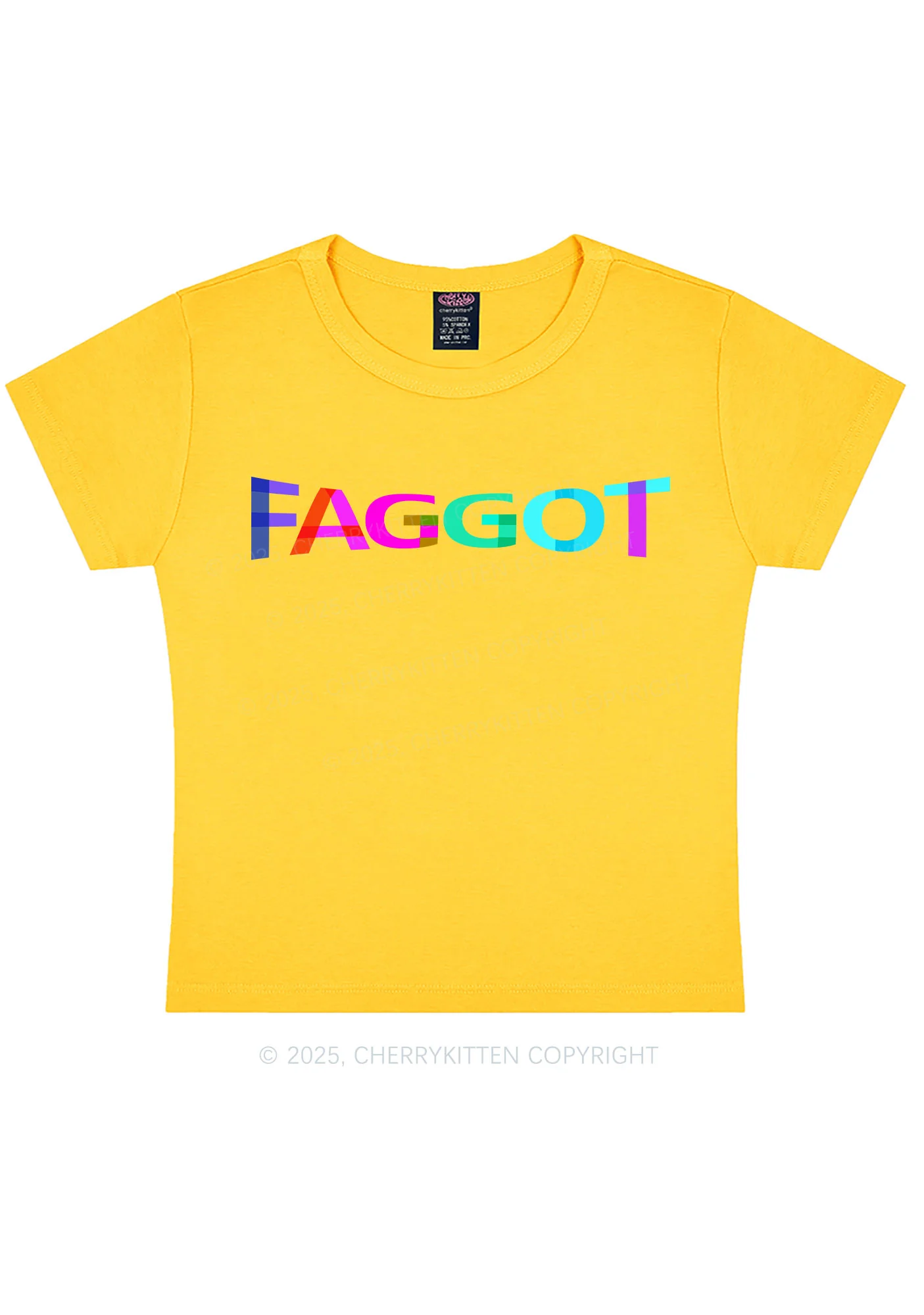 Colorful Faggot Pride Y2K Baby Tee Cherrykitten - Image 7