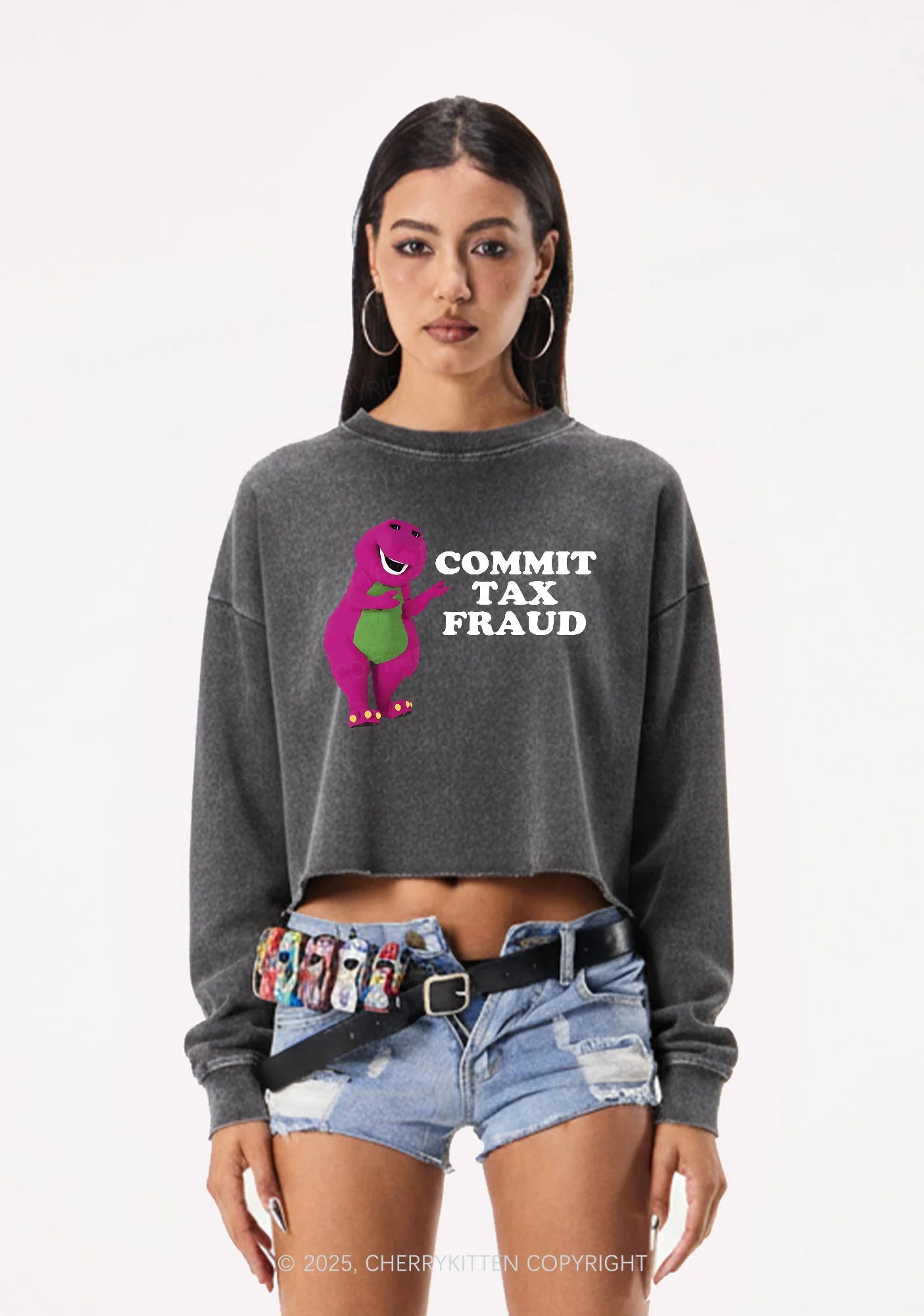 Commit Tax Fraud Y2K Crop Washed Sweatshirts Cherrykitten - Image 2