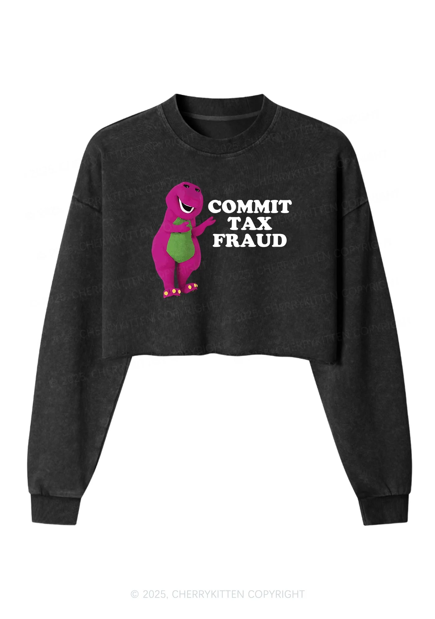 Commit Tax Fraud Y2K Crop Washed Sweatshirts Cherrykitten - Image 3