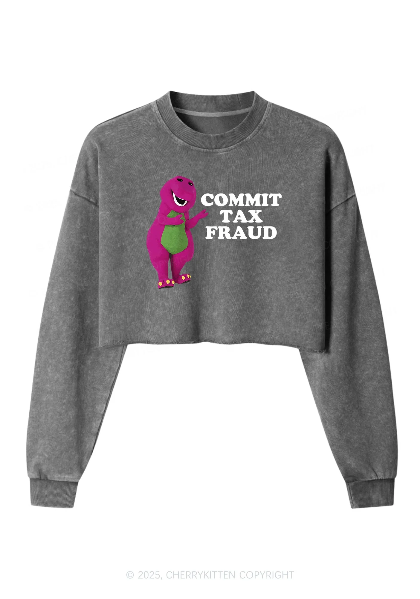 Commit Tax Fraud Y2K Crop Washed Sweatshirts Cherrykitten - Image 4