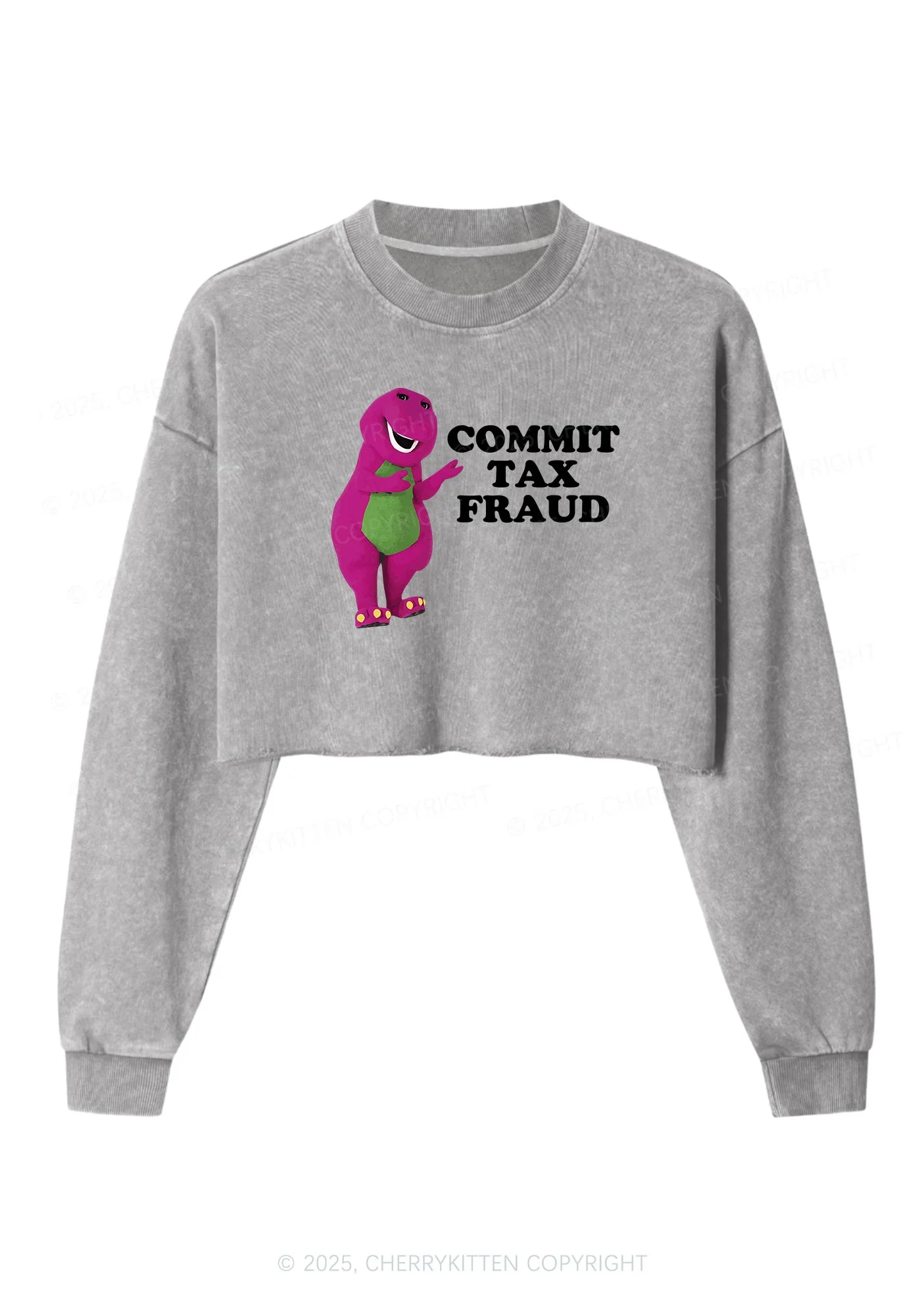 Commit Tax Fraud Y2K Crop Washed Sweatshirts Cherrykitten - Image 5
