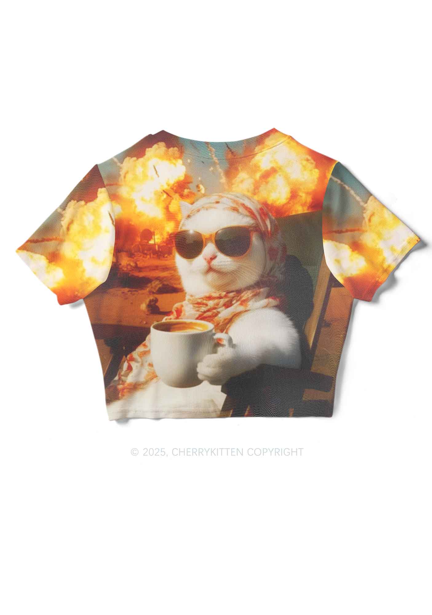 Cool Cat Enjoying Coffee Y2K Mesh Crop Top Cherrykitten - Image 5
