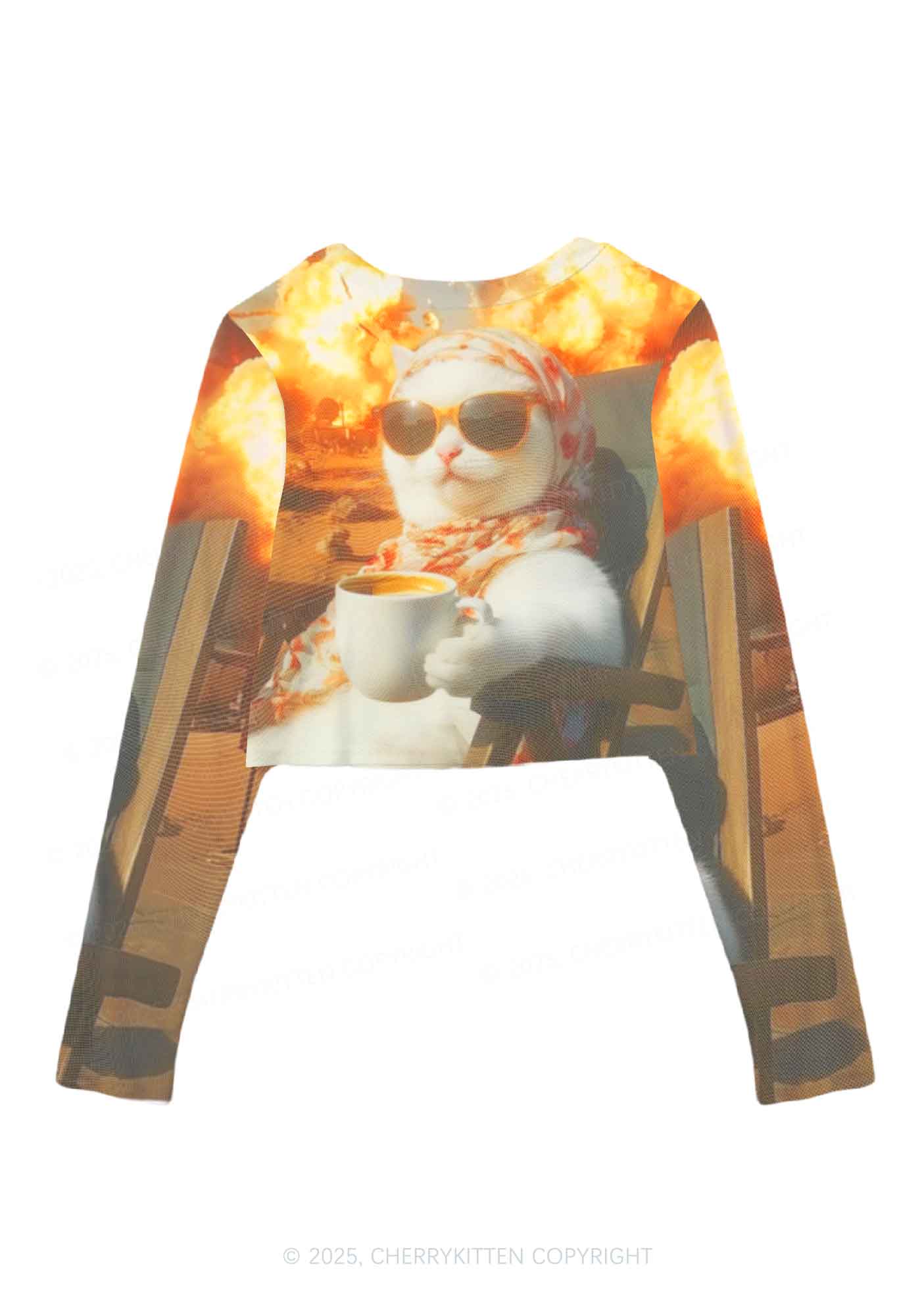 Cool Cat Enjoying Coffee Y2K Mesh Long Sleeve Crop Top Cherrykitten - Image 3