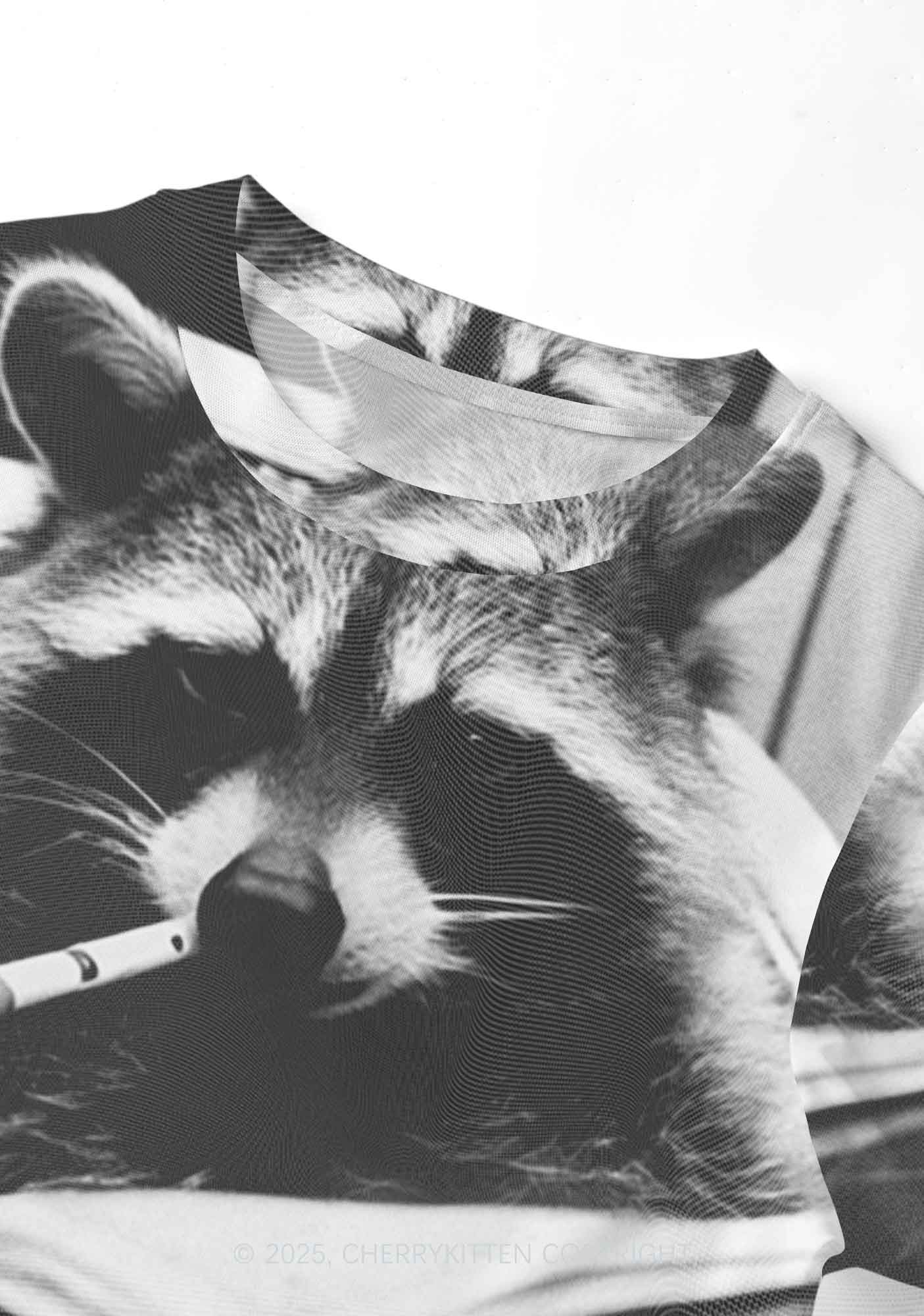 Cool Raccoon Y2K Mesh Crop Top Cherrykitten - Image 3