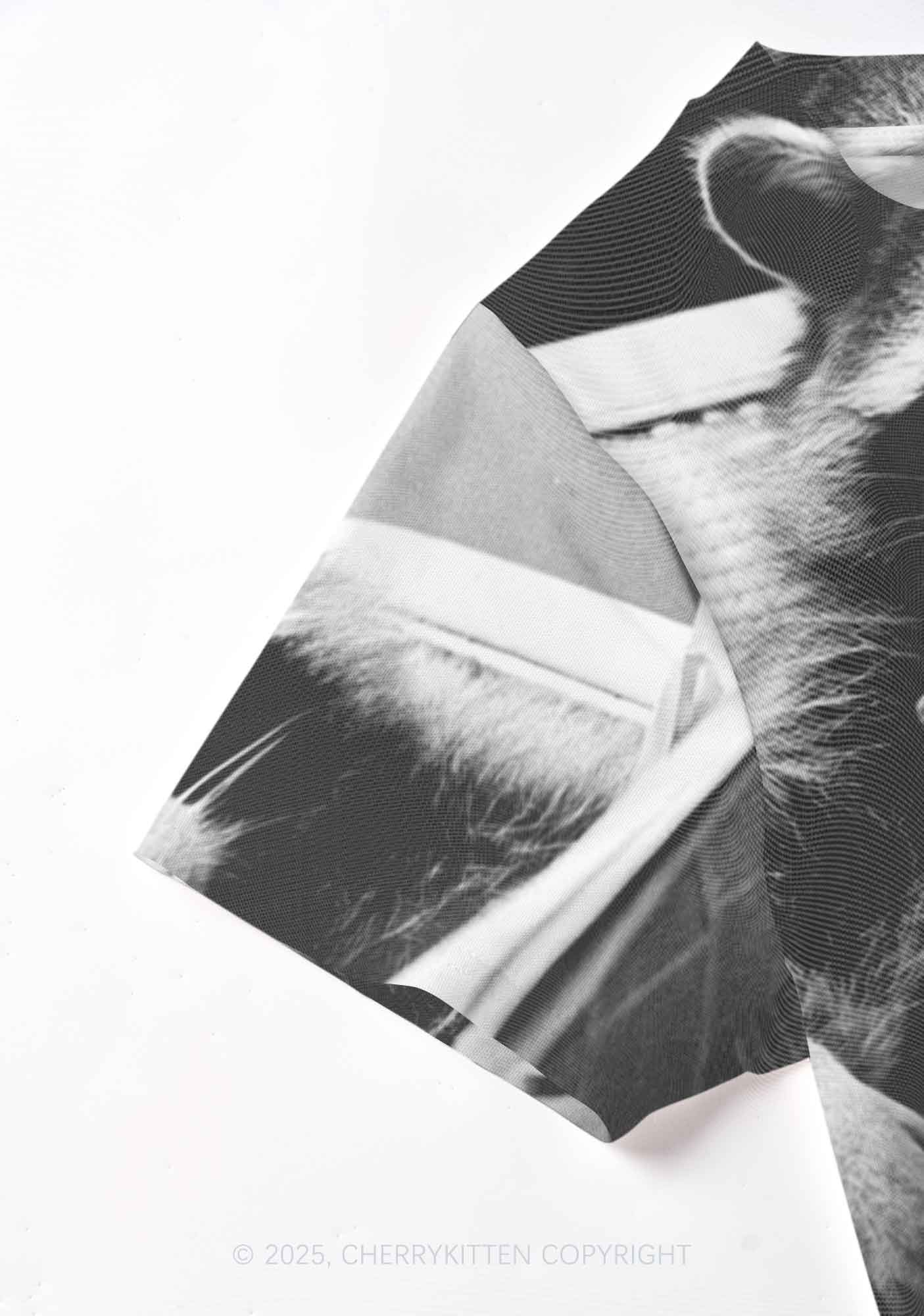 Cool Raccoon Y2K Mesh Crop Top Cherrykitten - Image 4