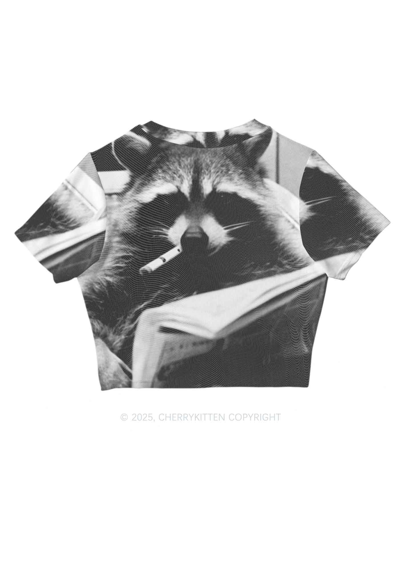 Cool Raccoon Y2K Mesh Crop Top Cherrykitten - Image 5