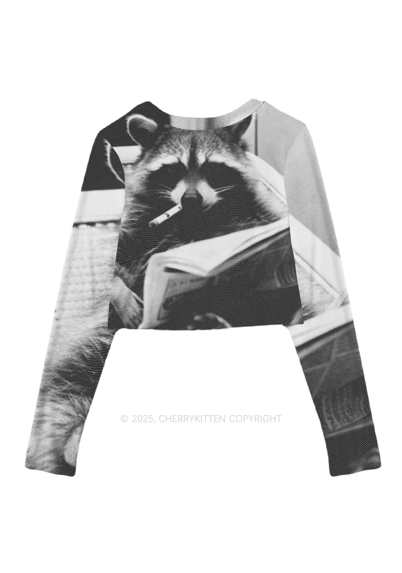 Cool Raccoon Y2K Mesh Long Sleeve Crop Top Cherrykitten - Image 3