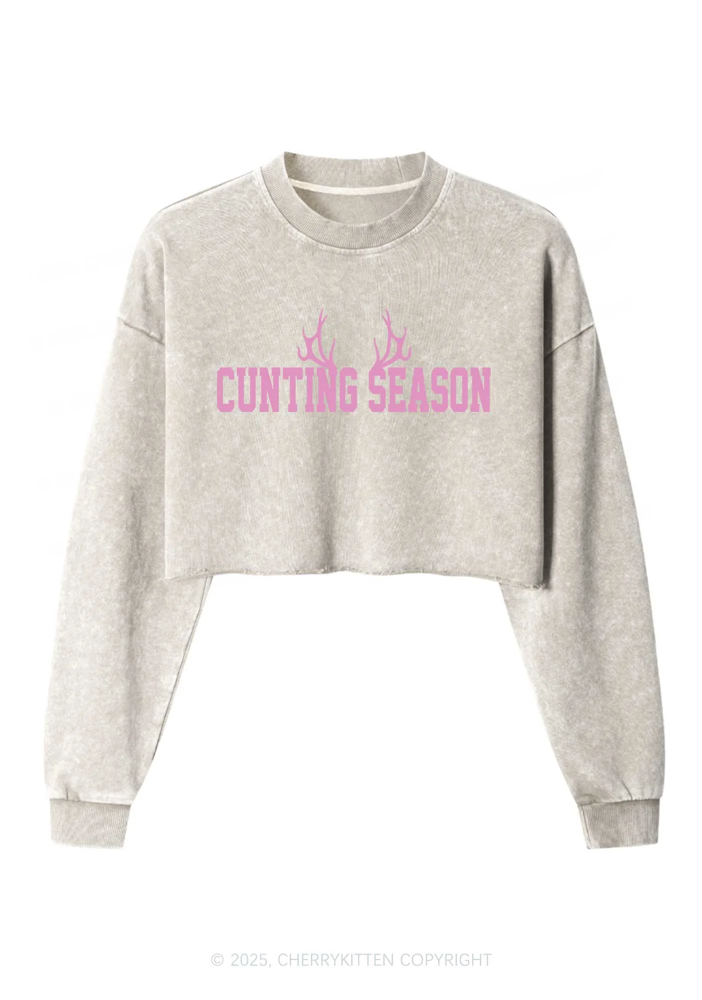 Cunting Season Y2K Crop Washed Sweatshirts Cherrykitten - Image 3