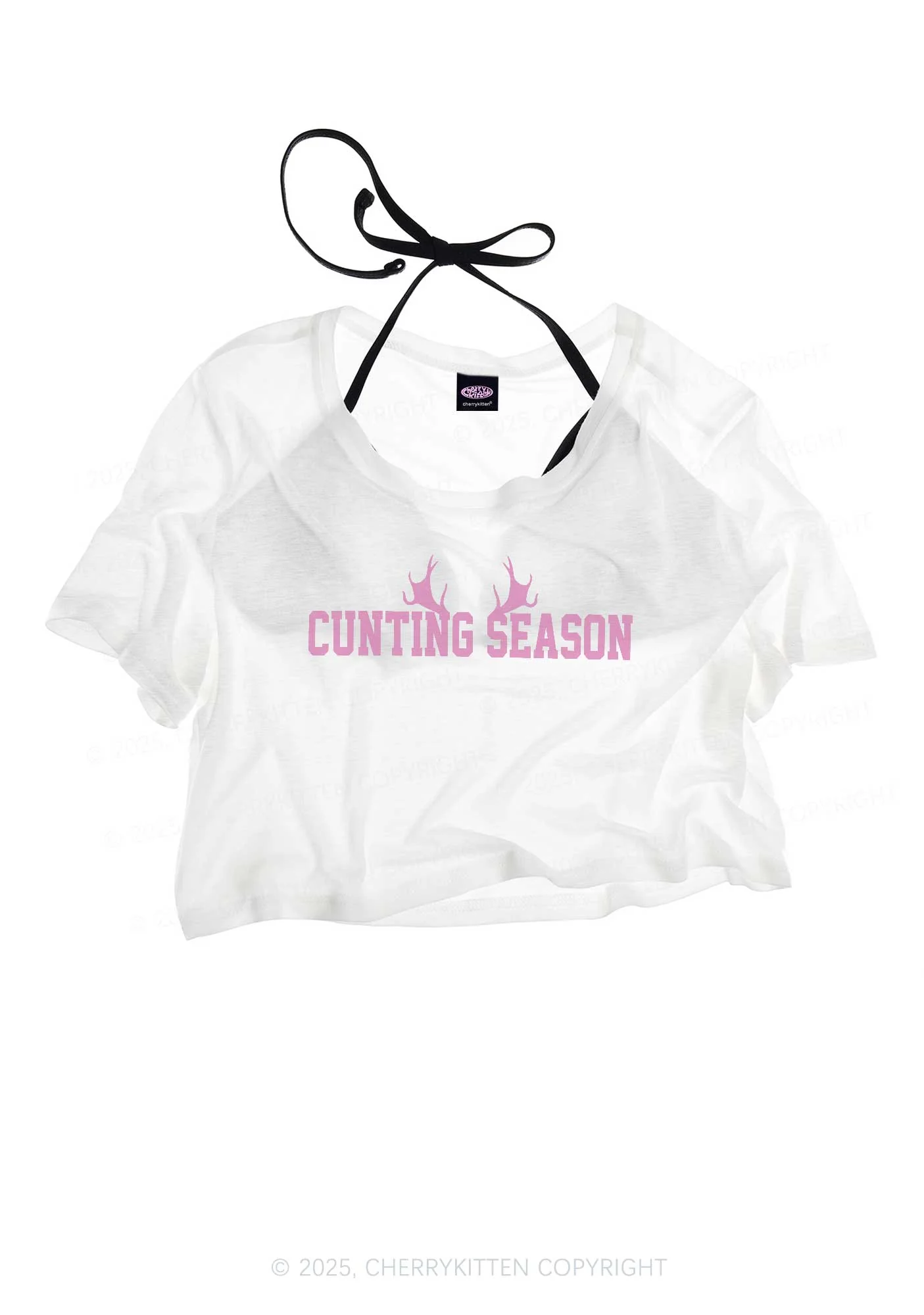 Cunting Season Y2K Sheer Crop Tee Cherrykitten - Image 3