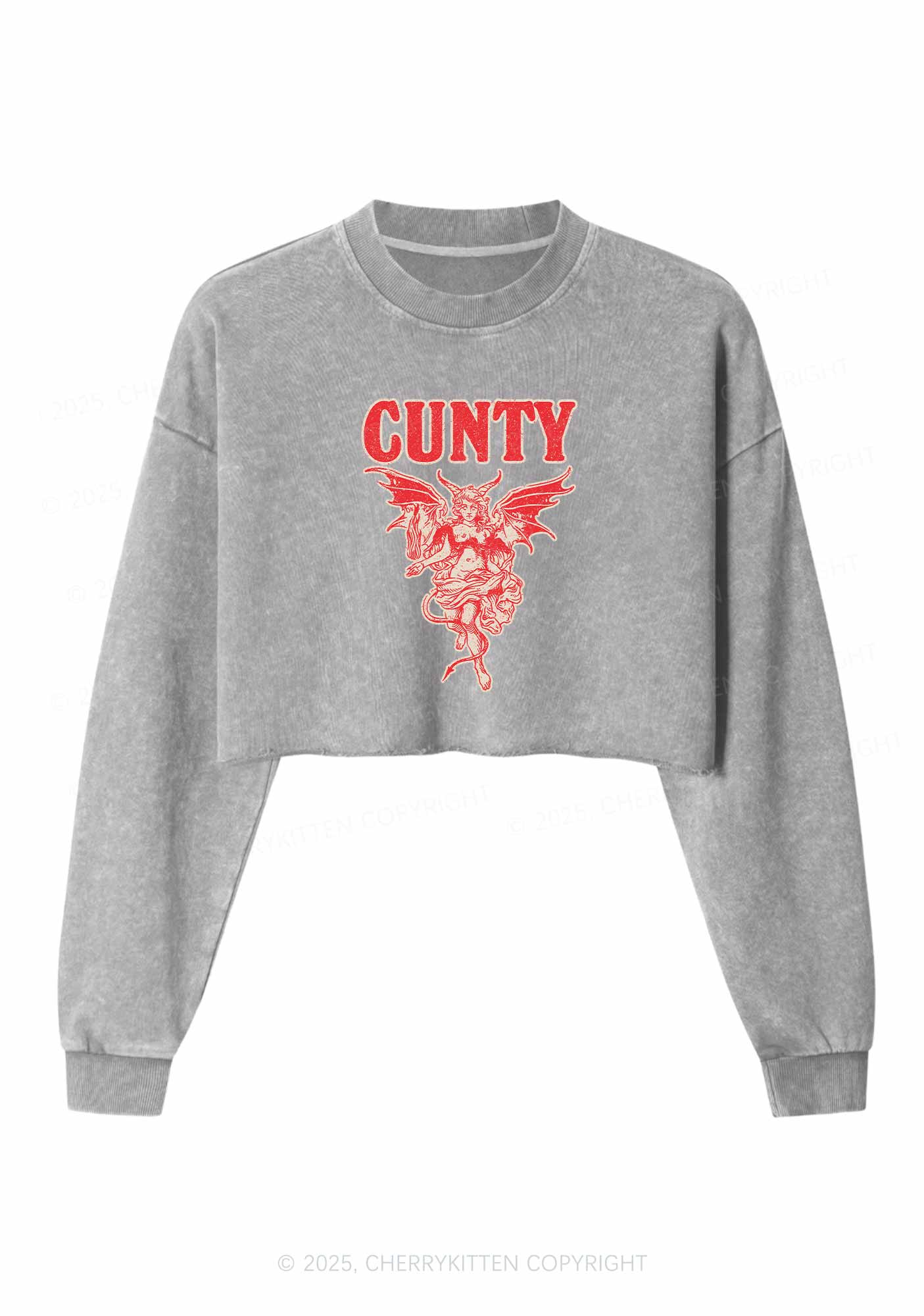 Cunty Satan Y2K Crop Washed Sweatshirts Cherrykitten - Image 5