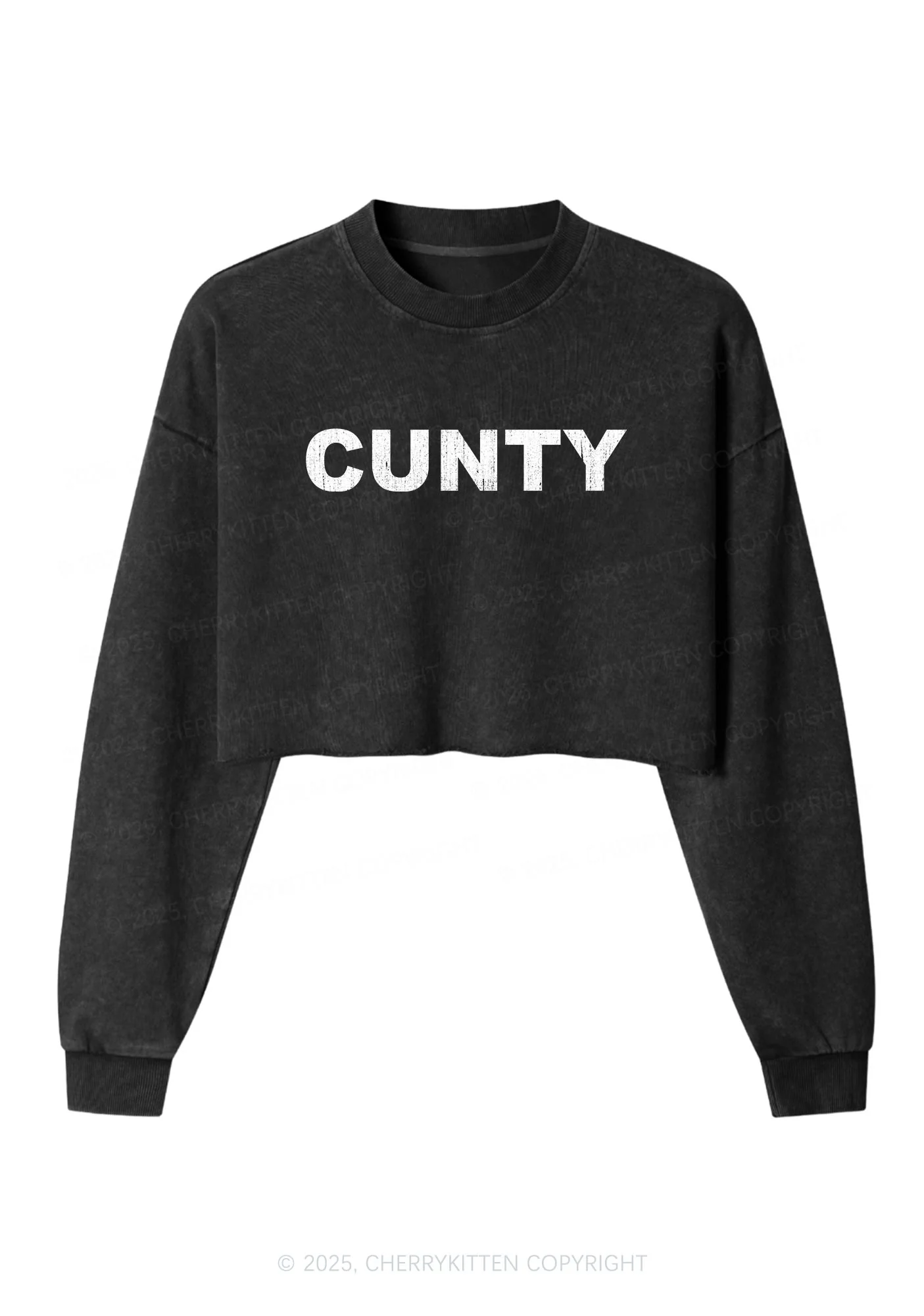 Cunty Y2K Crop Washed Sweatshirts Cherrykitten - Image 3