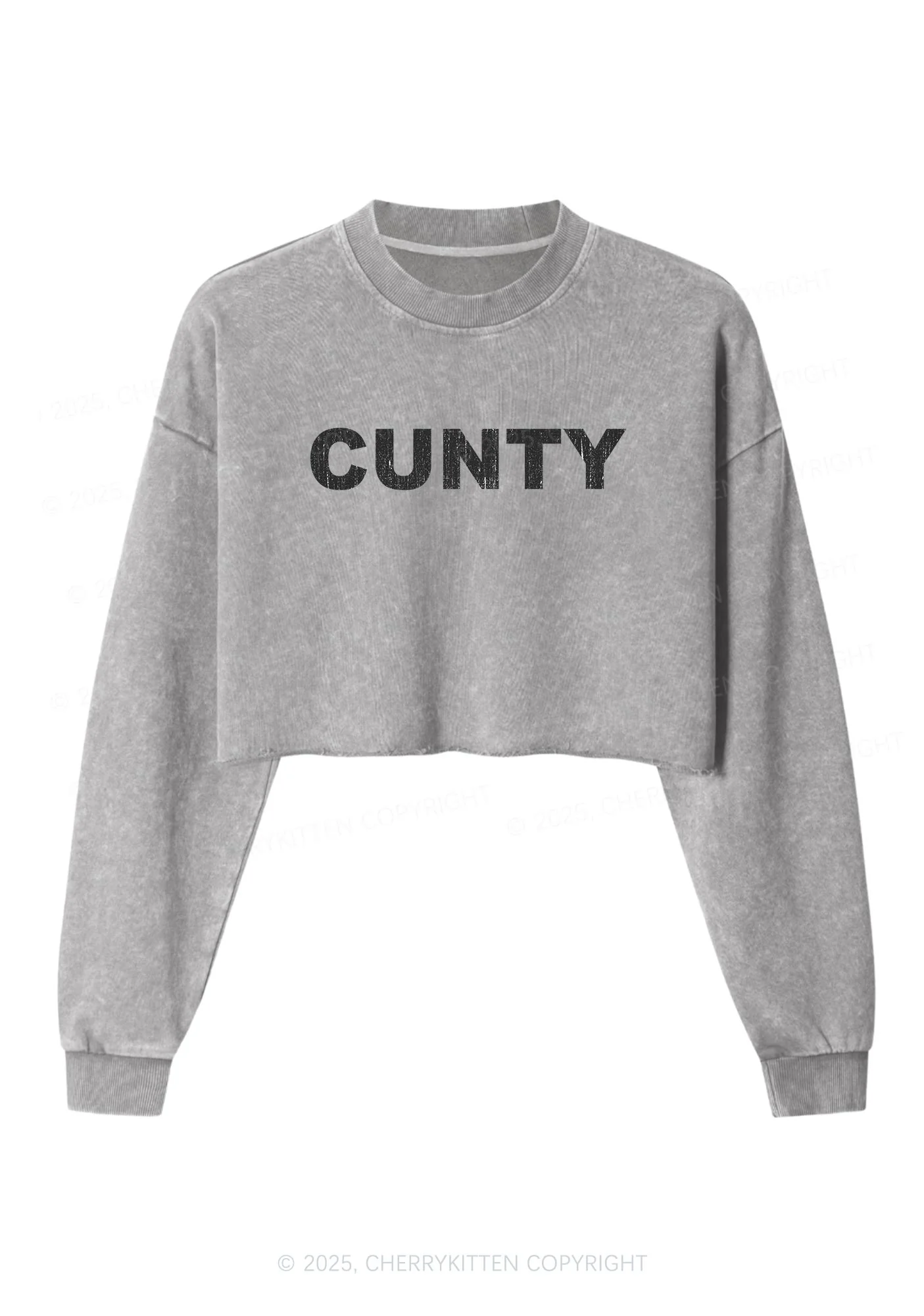 Cunty Y2K Crop Washed Sweatshirts Cherrykitten - Image 4
