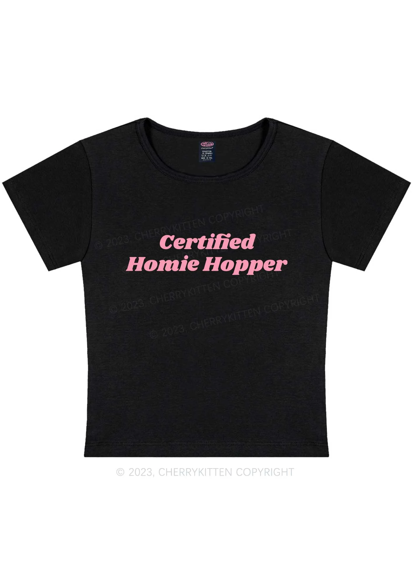 Curvy Certified Homie Hopper Y2K Baby Tee Cherrykitten - Image 3