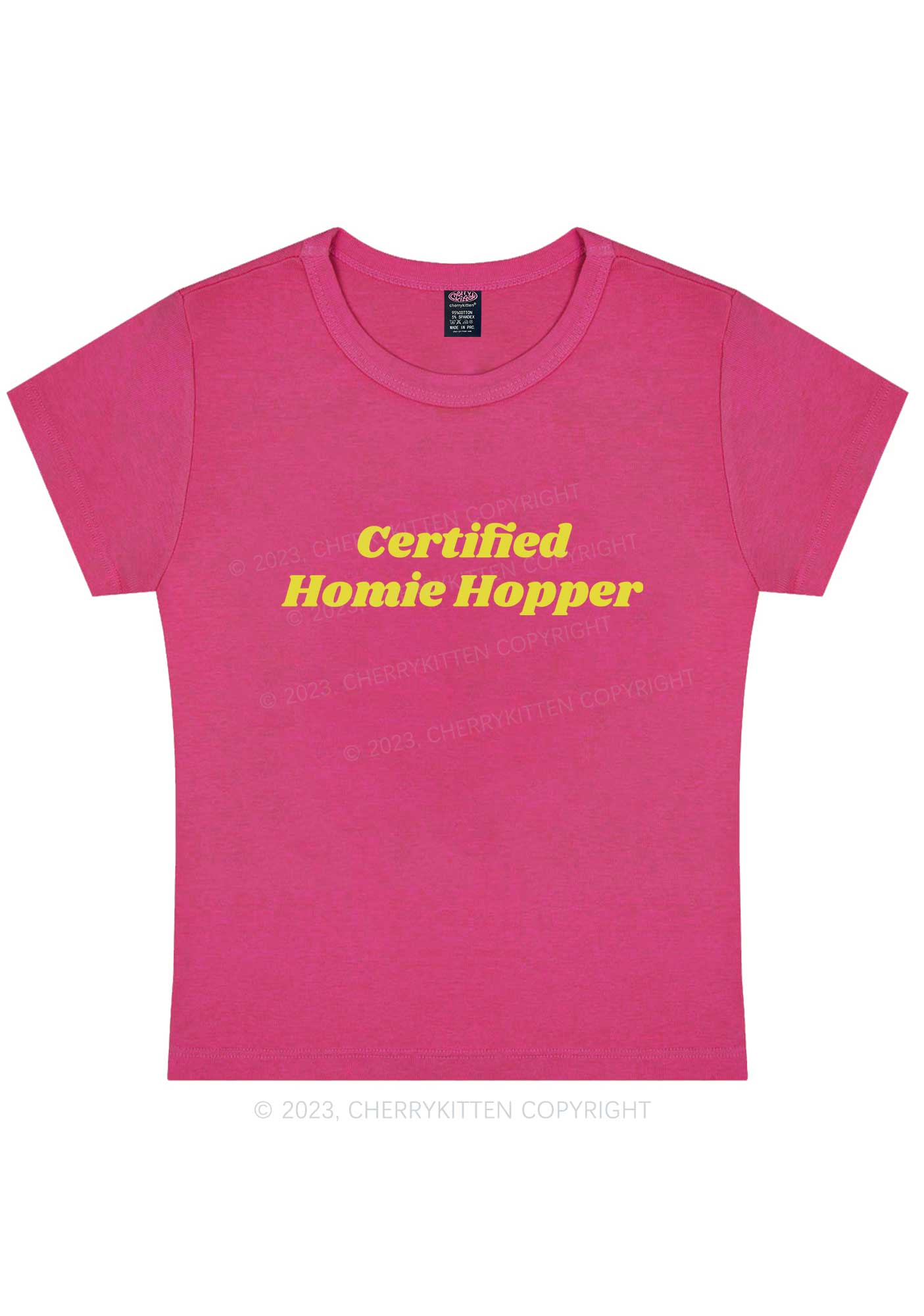 Curvy Certified Homie Hopper Y2K Baby Tee Cherrykitten - Image 5
