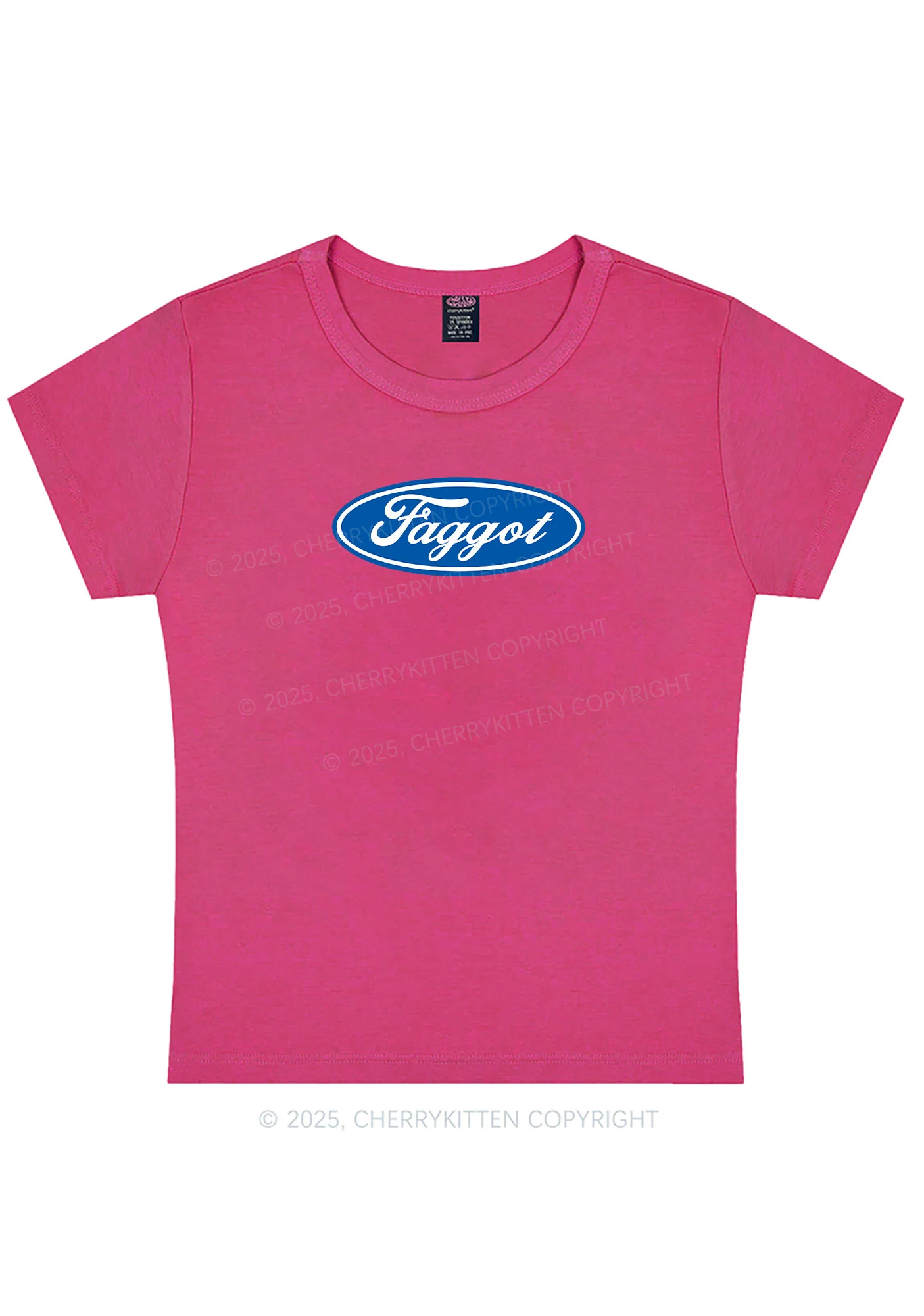Curvy Faggot Pride Y2K Baby Tee Cherrykitten - Image 4