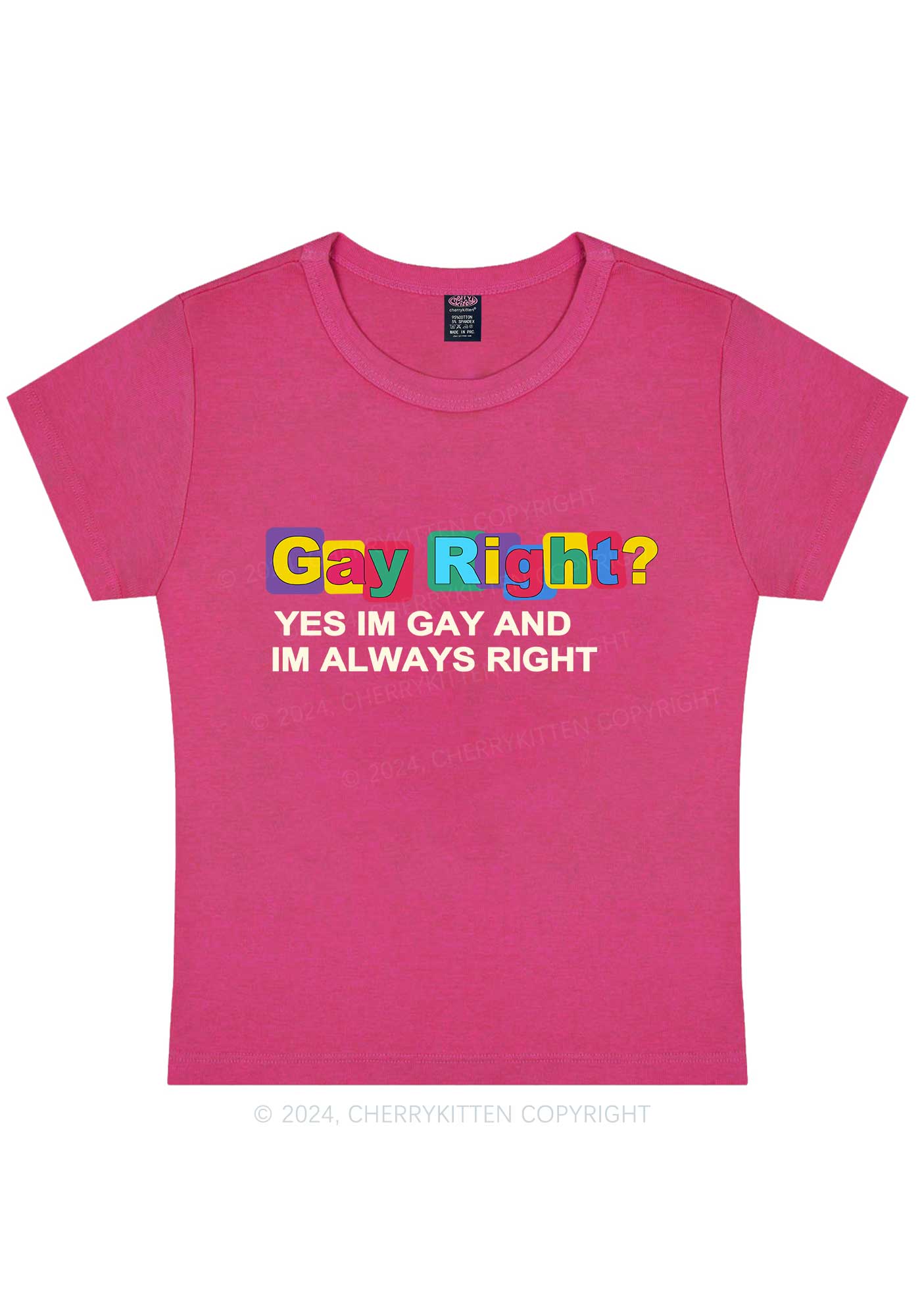 Curvy Gay Always Right Y2K Baby Tee Cherrykitten - Image 5