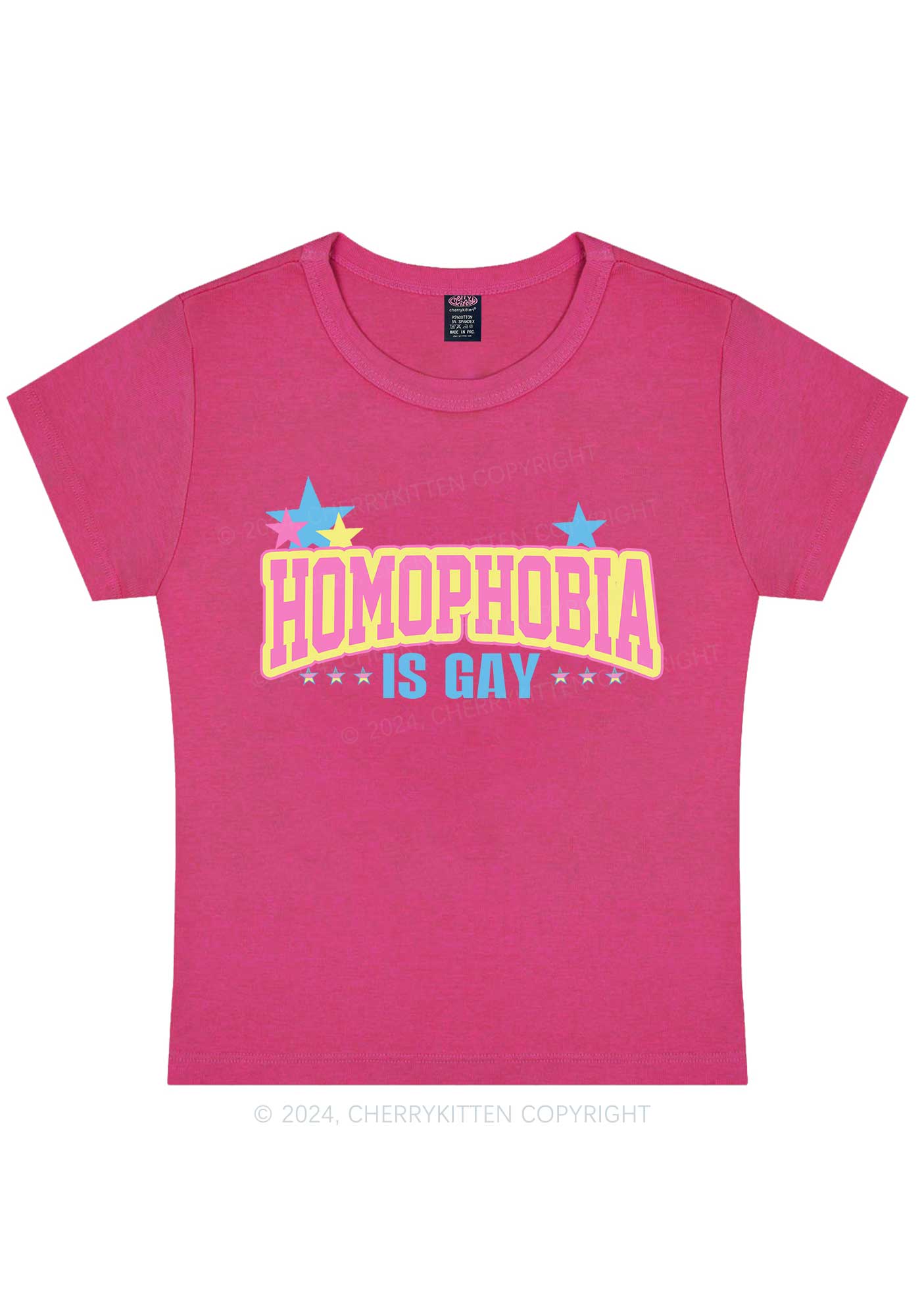 Curvy Homophobia Is Gay Y2K Baby Tee Cherrykitten - Image 2
