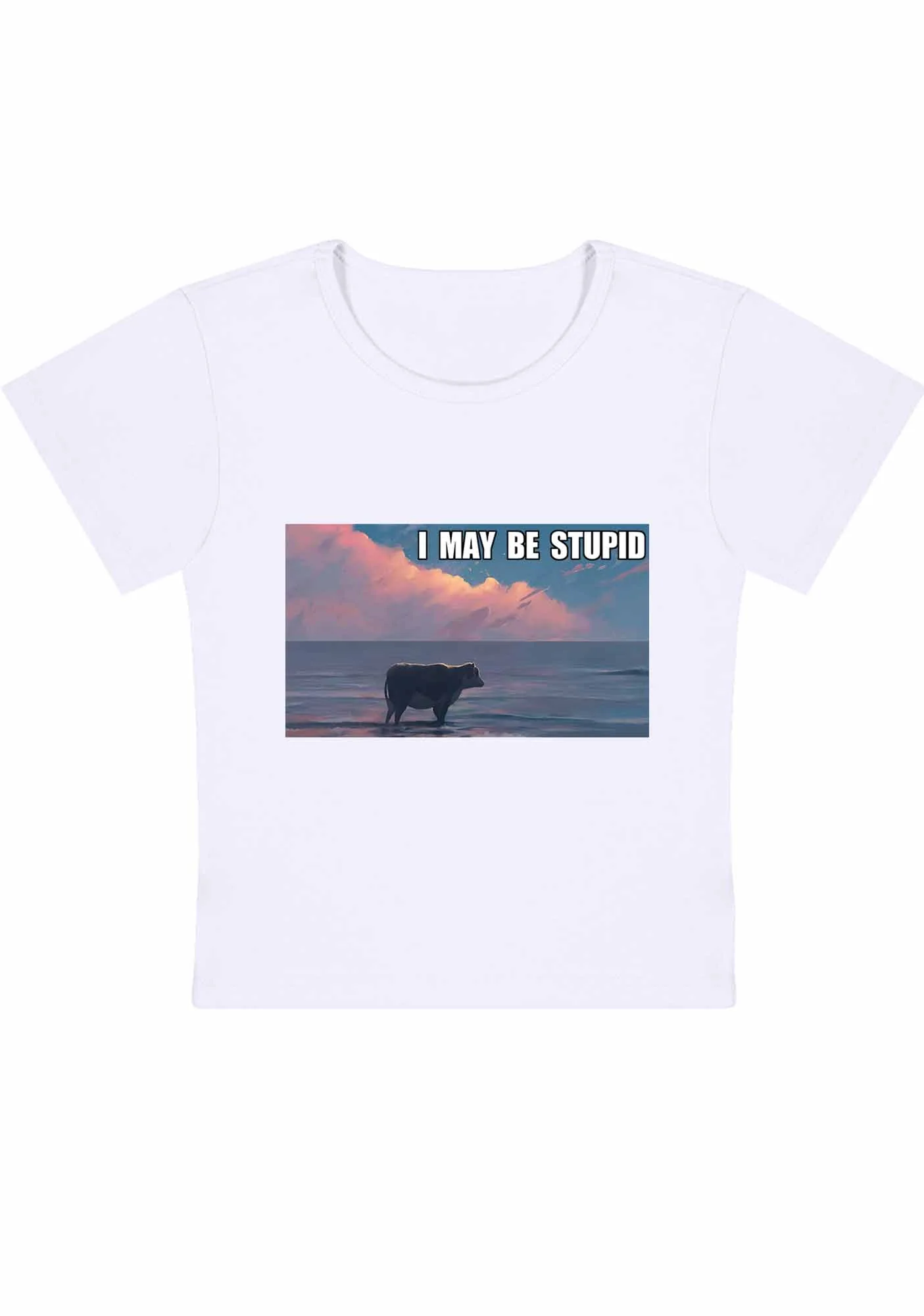 Curvy I May Be Stupid Meme Baby Tee - Image 2