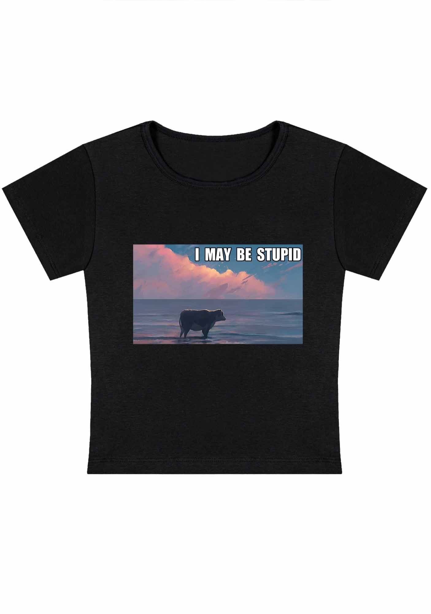 Curvy I May Be Stupid Meme Baby Tee - Image 3