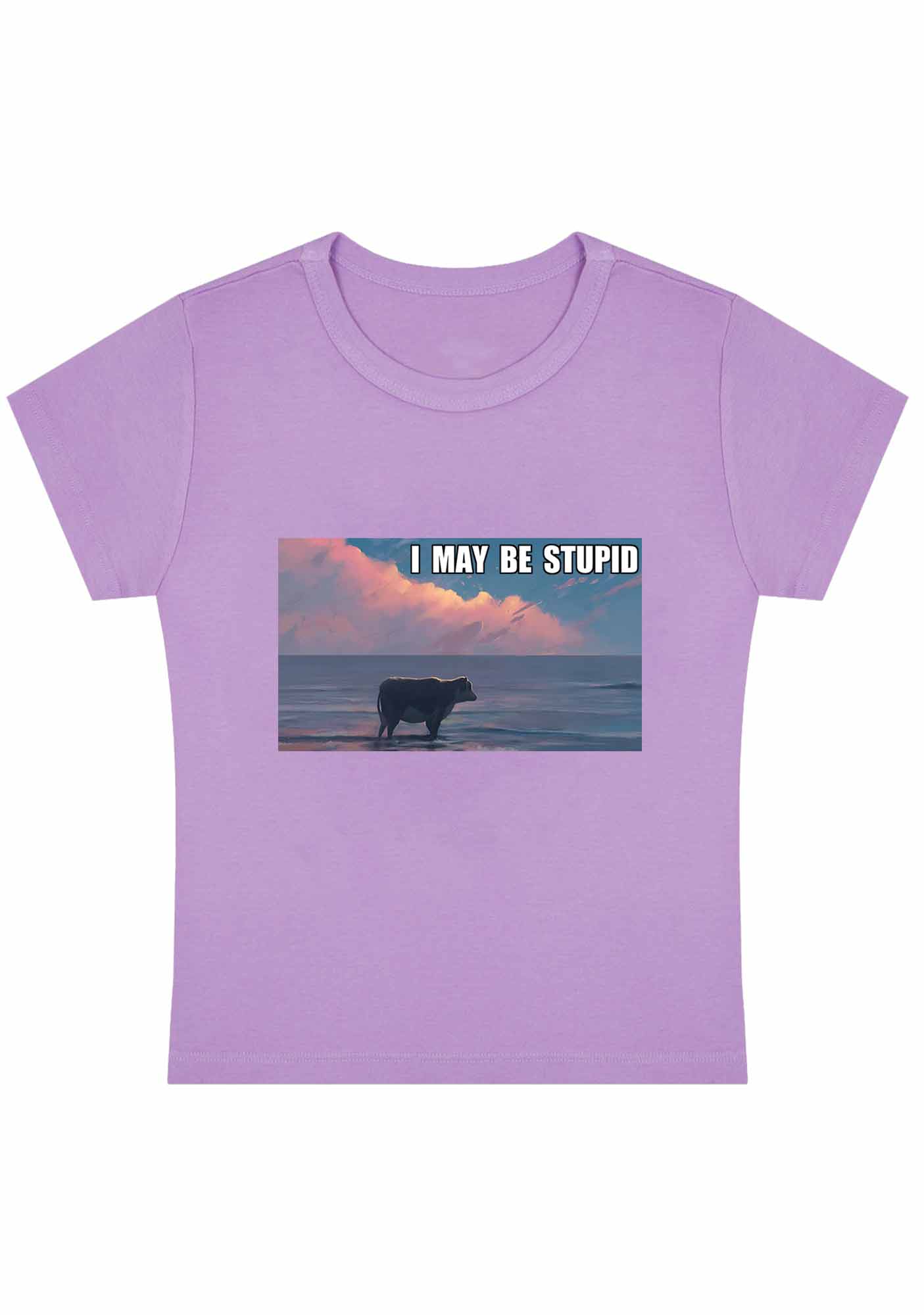 Curvy I May Be Stupid Meme Baby Tee - Image 4
