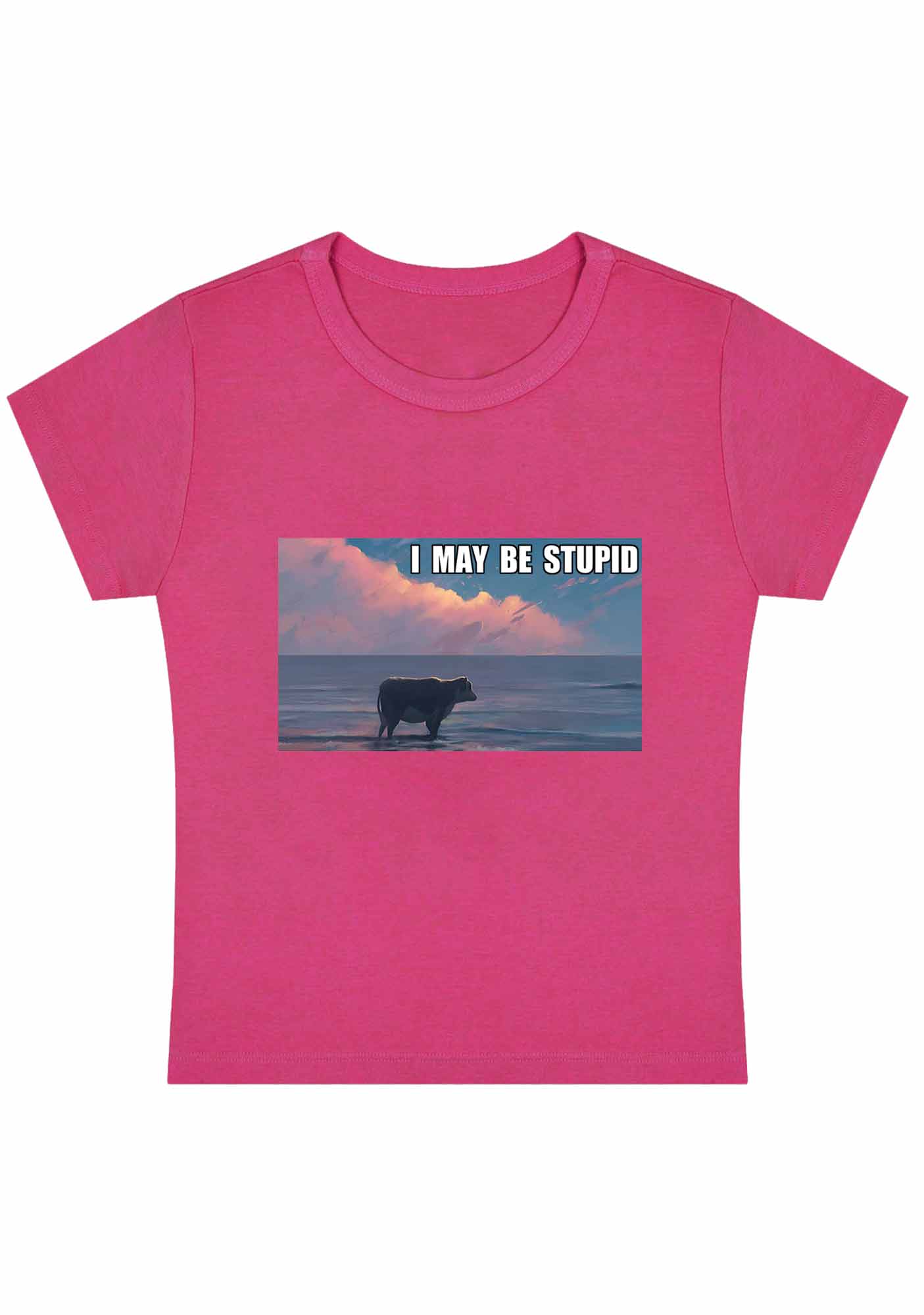 Curvy I May Be Stupid Meme Baby Tee - Image 5