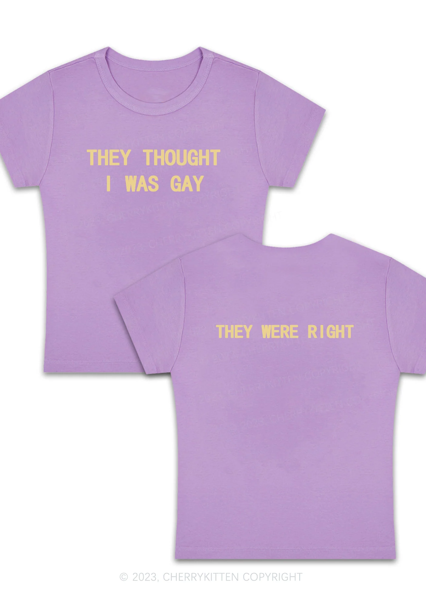 Curvy I Was Gay Two Sides Y2K Baby Tee Cherrykitten - Image 2