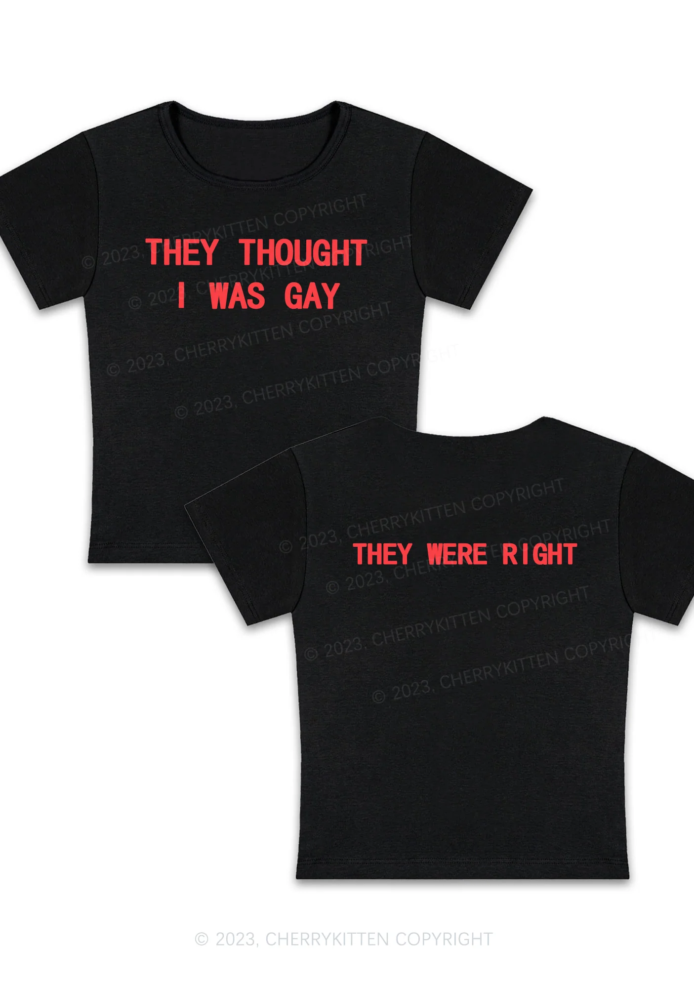 Curvy I Was Gay Two Sides Y2K Baby Tee Cherrykitten - Image 3