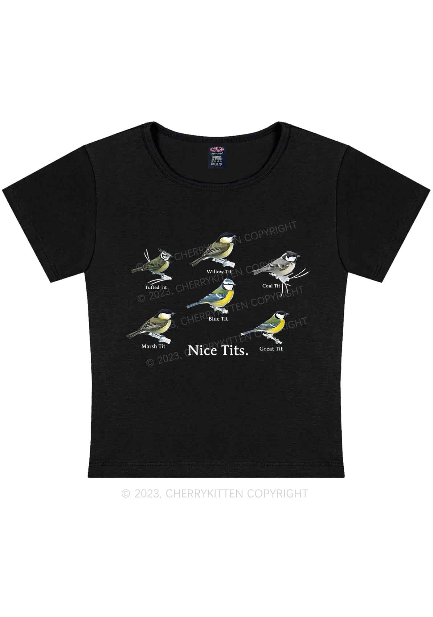 Curvy Nice Txts Category Y2K Baby Tee Cherrykitten - Image 2