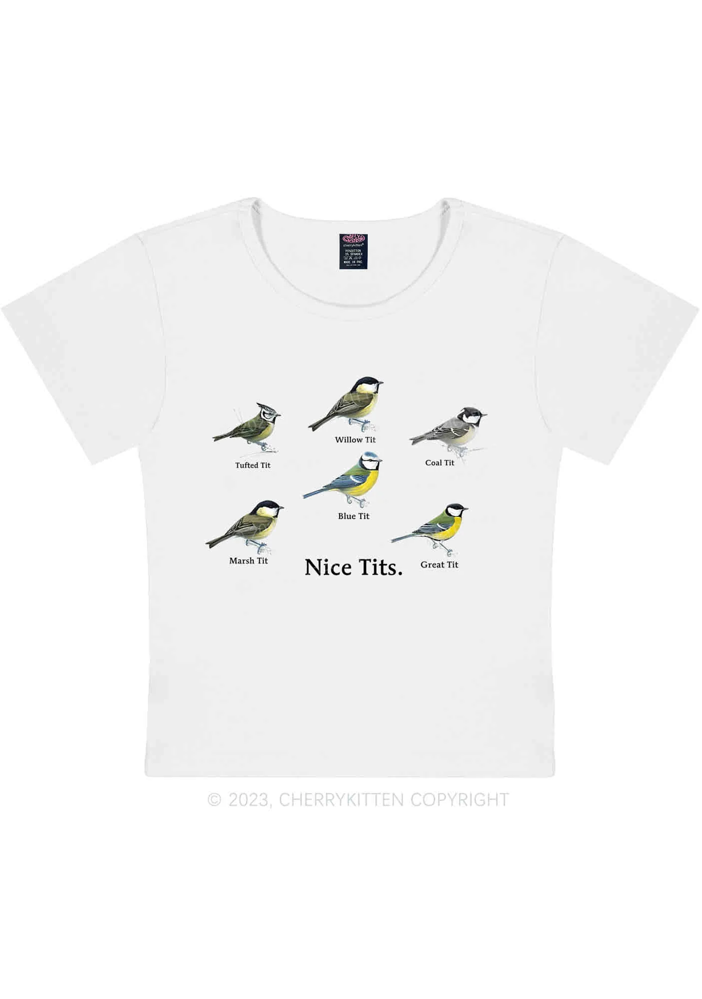 Curvy Nice Txts Category Y2K Baby Tee Cherrykitten - Image 3