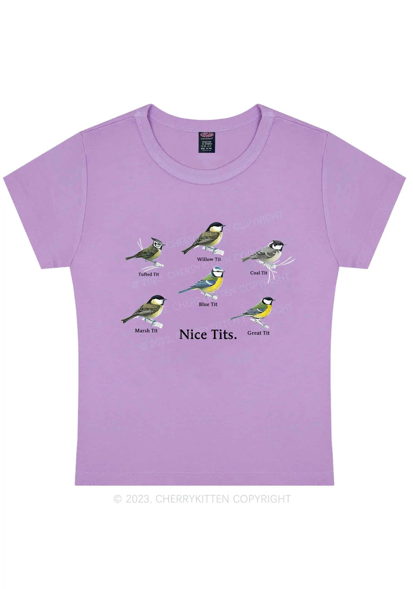 Curvy Nice Txts Category Y2K Baby Tee Cherrykitten - Image 4