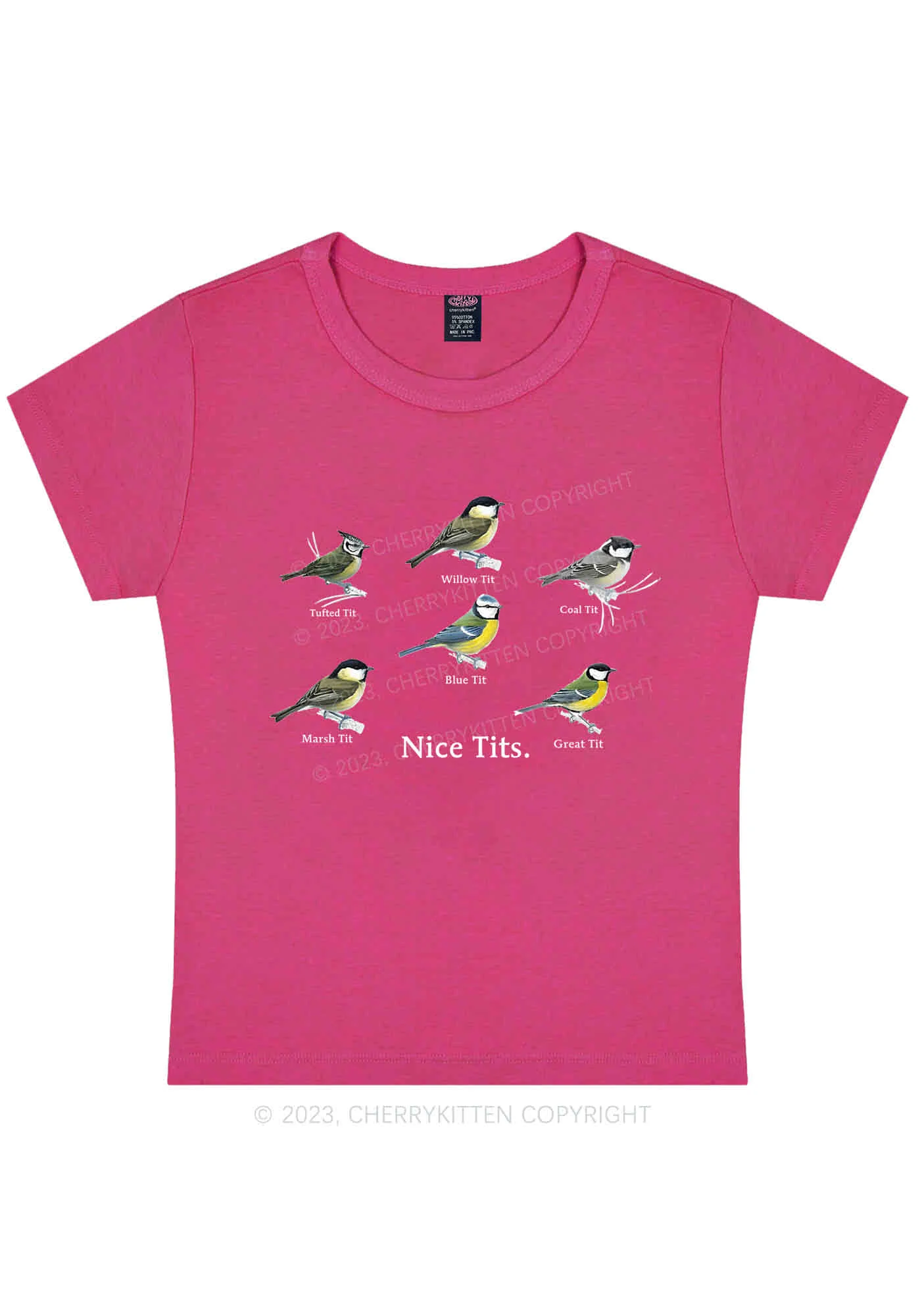 Curvy Nice Txts Category Y2K Baby Tee Cherrykitten - Image 5