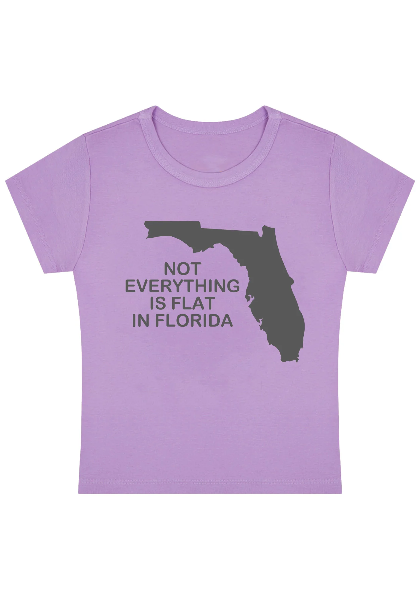 Curvy Not Everything Is Flat In Florida Baby Tee - Image 2