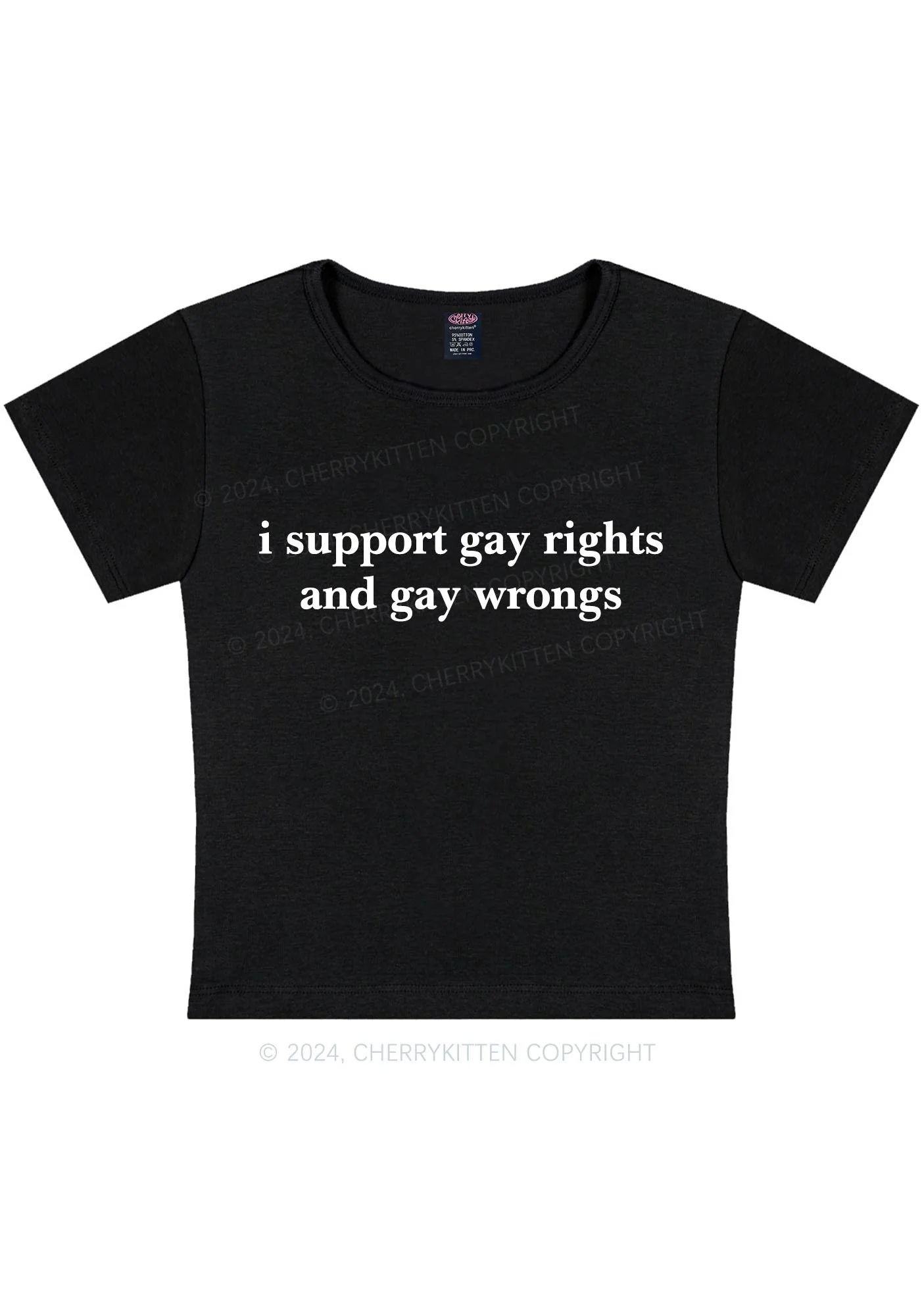 Curvy Support Gay Rights Y2K Baby Tee Cherrykitten - Image 3